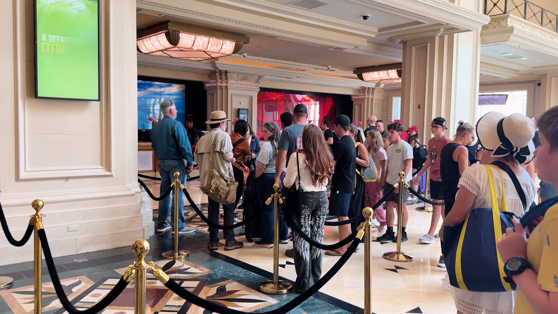 Lots of people lined up at check-in and check-out