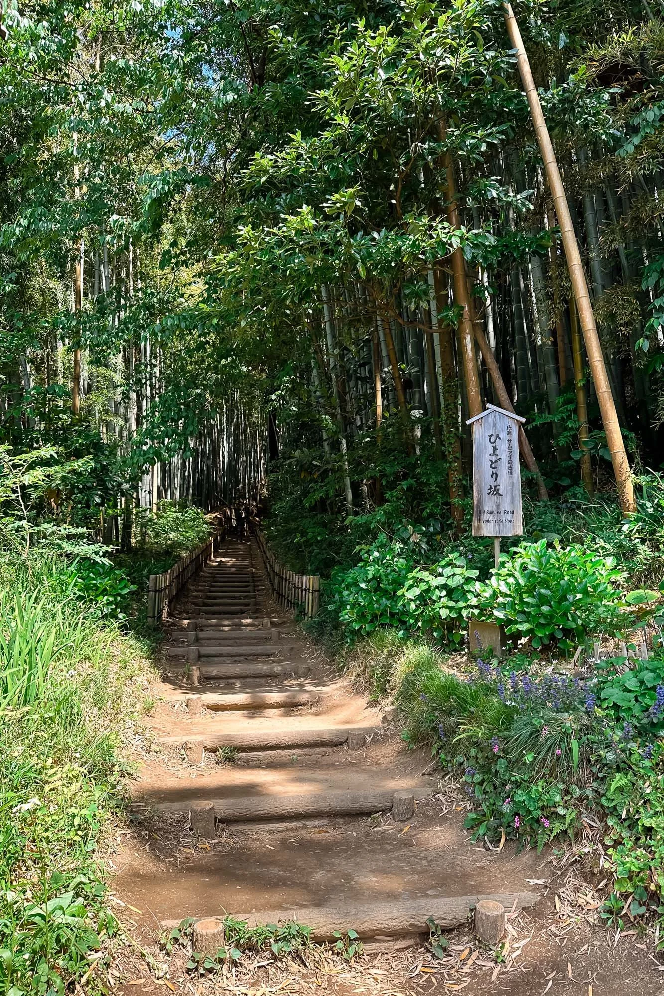 Hiyodori-zaka Slope