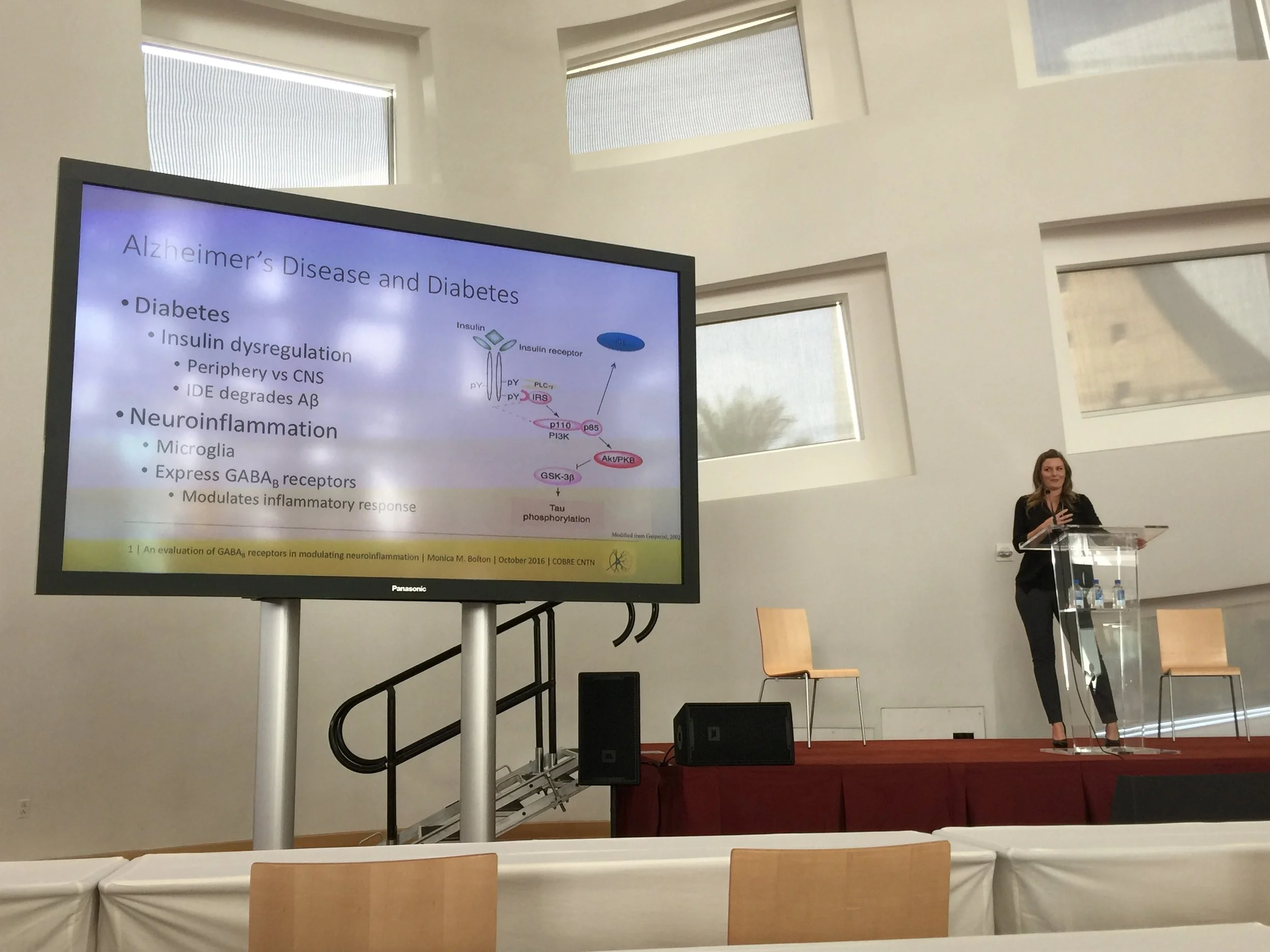 Monica Bolton presenting data from her dissertation research.