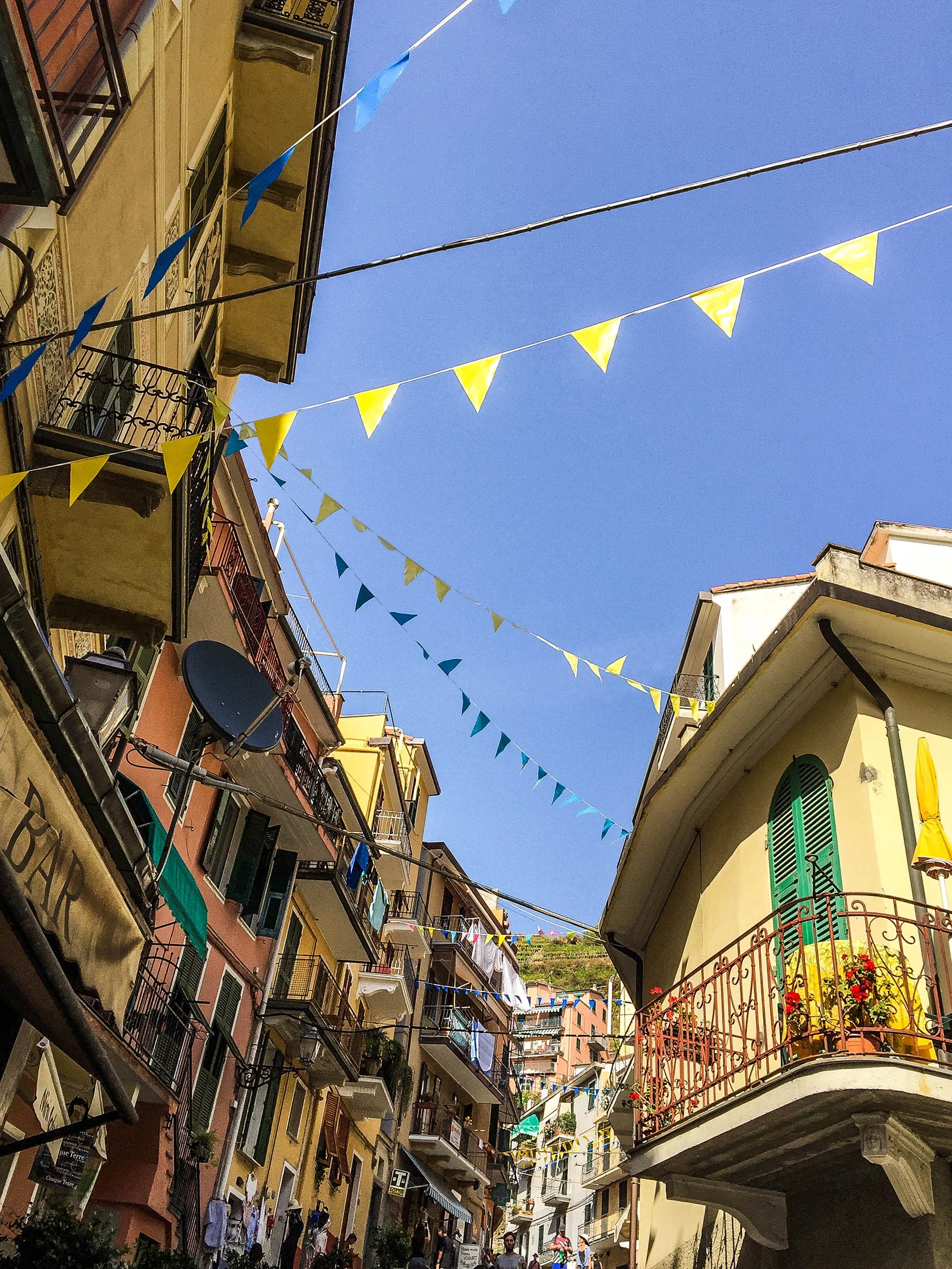 Manarola Flags.jpg