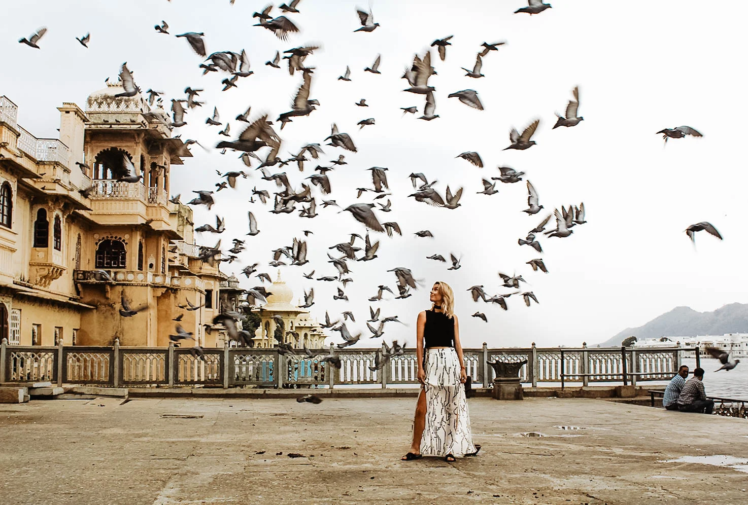 Pigeons 2.jpg