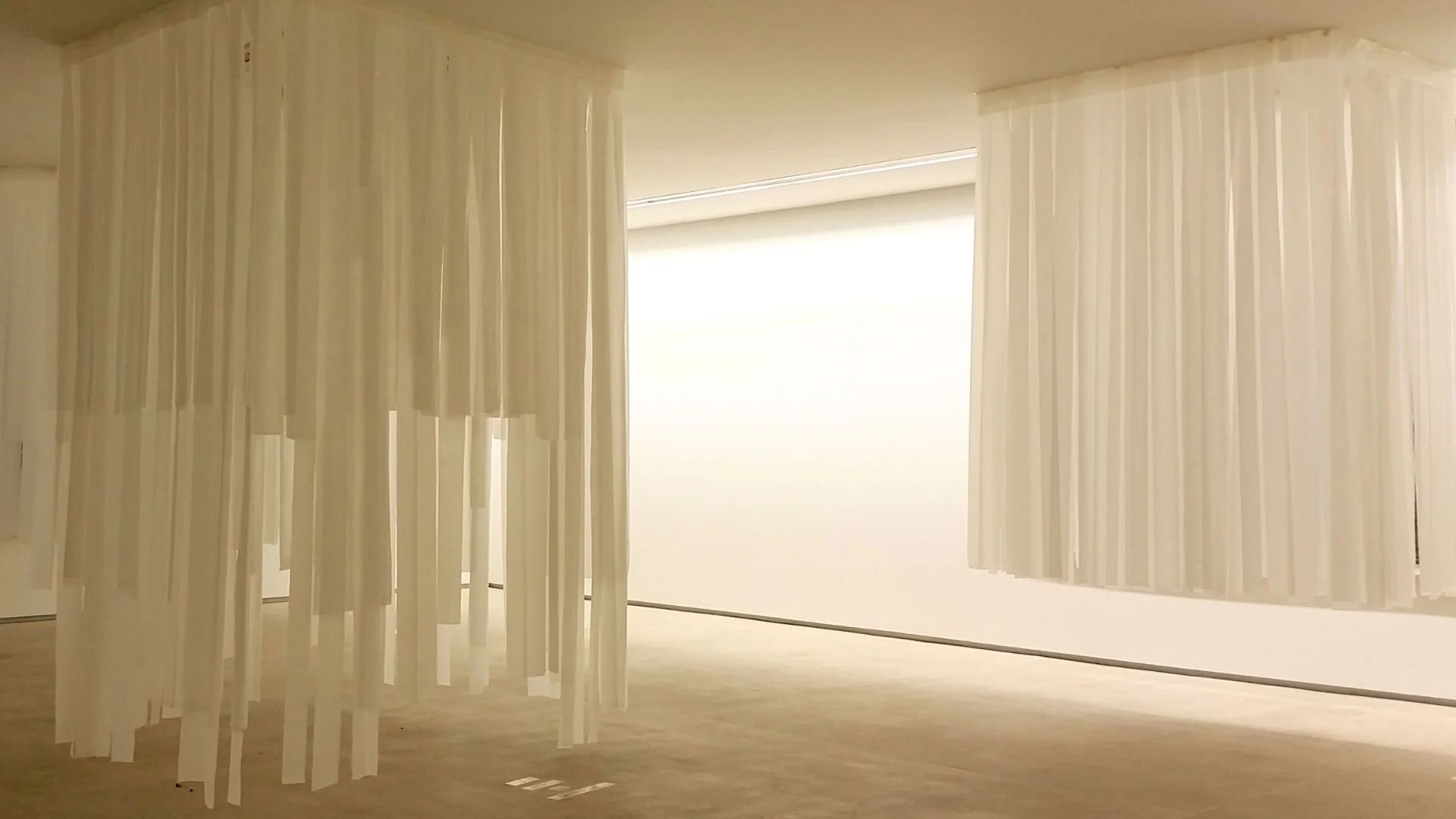 INDIVIDUAL IMAGES TO SEND 169 (7).jpg