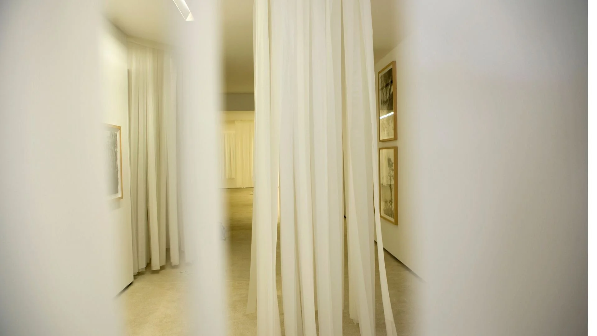 INDIVIDUAL IMAGES TO SEND 169 (6).jpg