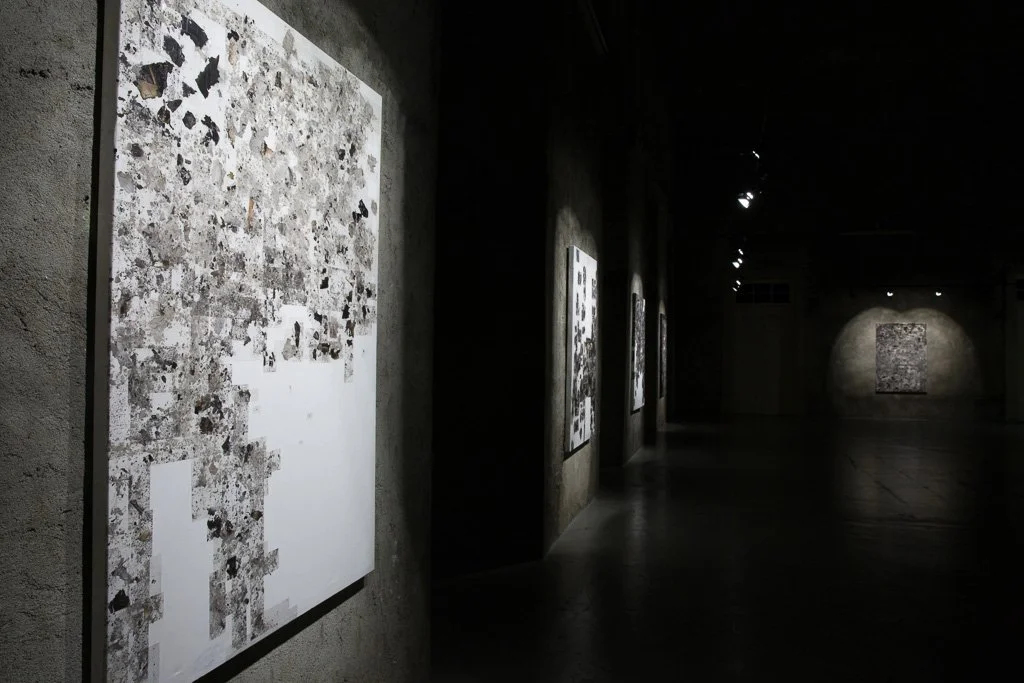 _87A6696 NO RETOUCH 1©ALIPIOPADILHA (2).jpg