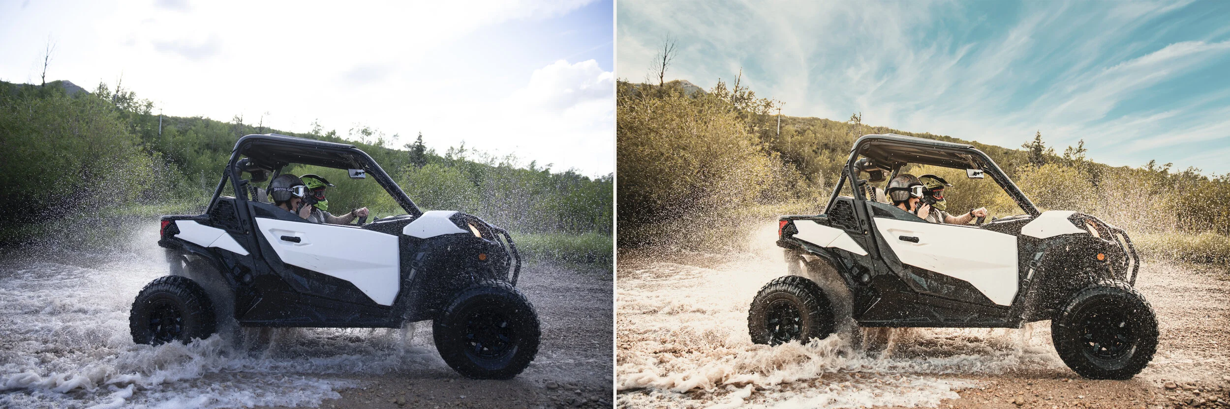 Buggy_Retouch-2.jpg