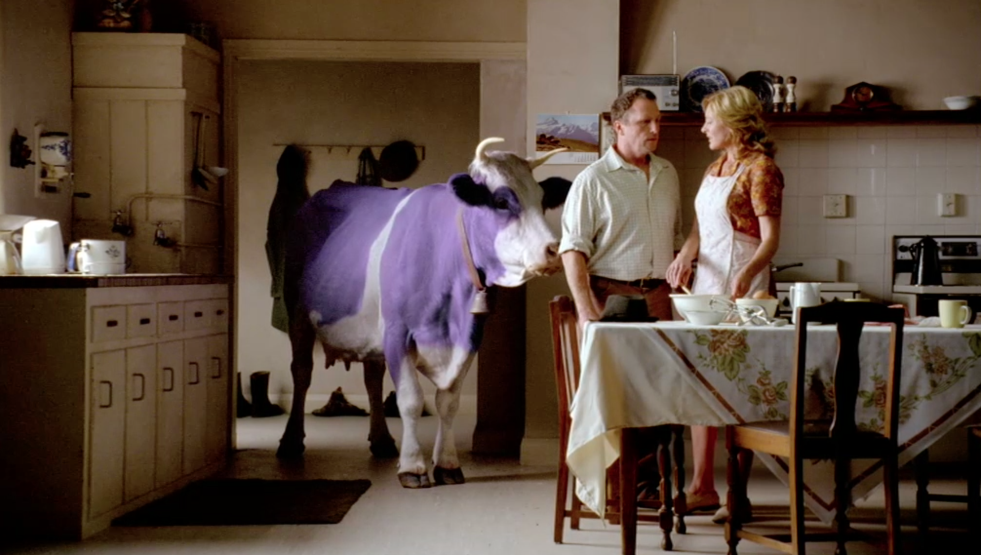 Видео с милкой. Шоколадная Милко корова. Реклама Милка с коровой. Milka шоколад корова. Реклама шоколада Милка.