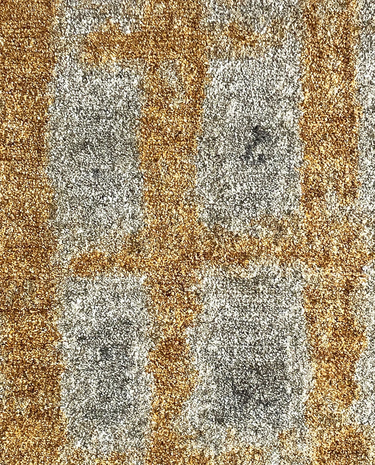 Grid.Closeup2.Driscoll.Robbins.jpg