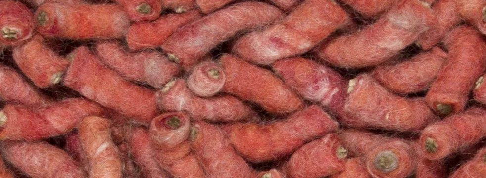 113