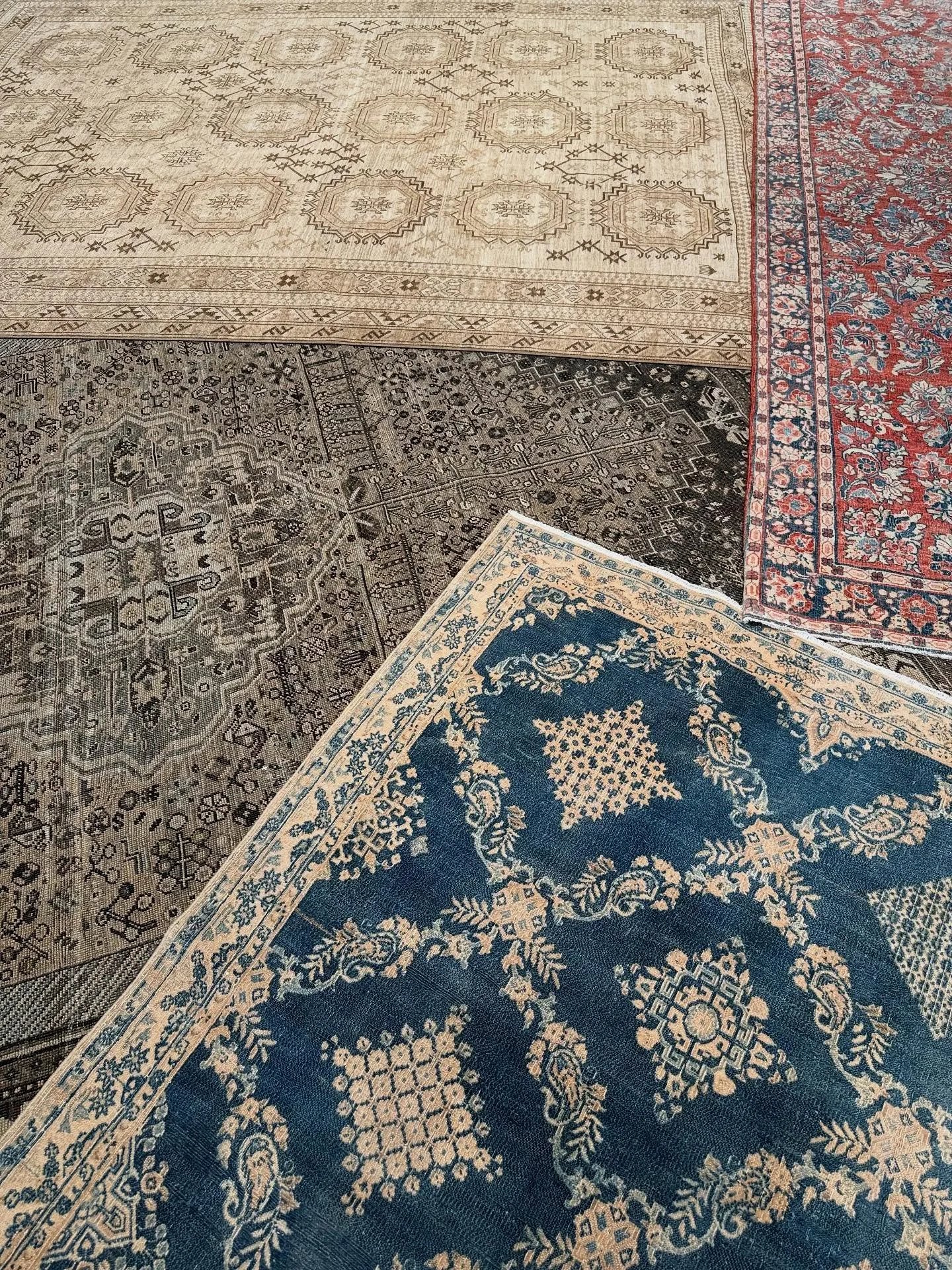 More @elikorugs_bydavidariel here at Driscoll Robbins! Traditional vintage design at its best!