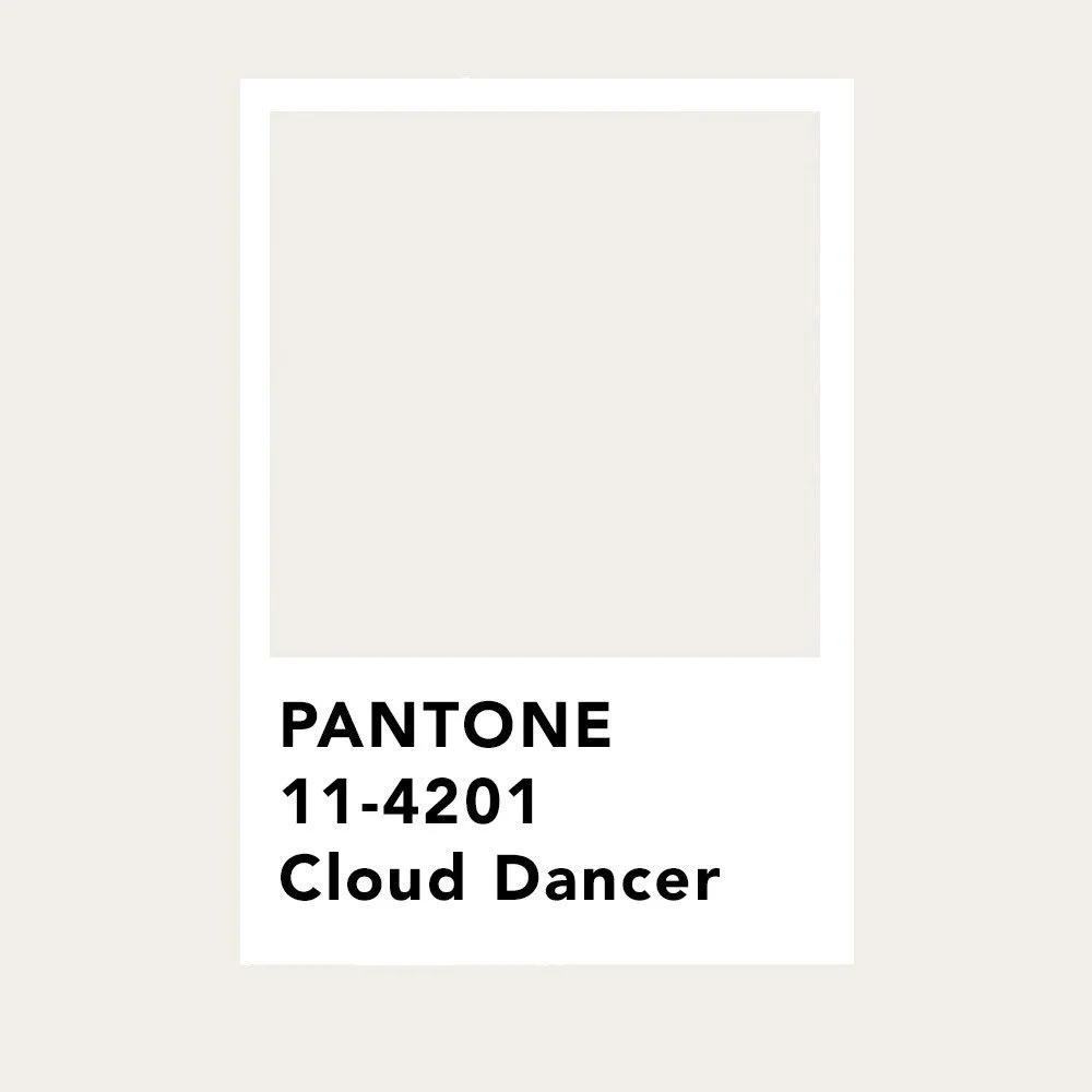 This years Pantone color is &ldquo;Cloud Dancer&rdquo; and we are inspired to find the rugs and samples that best represent our blanket of white!