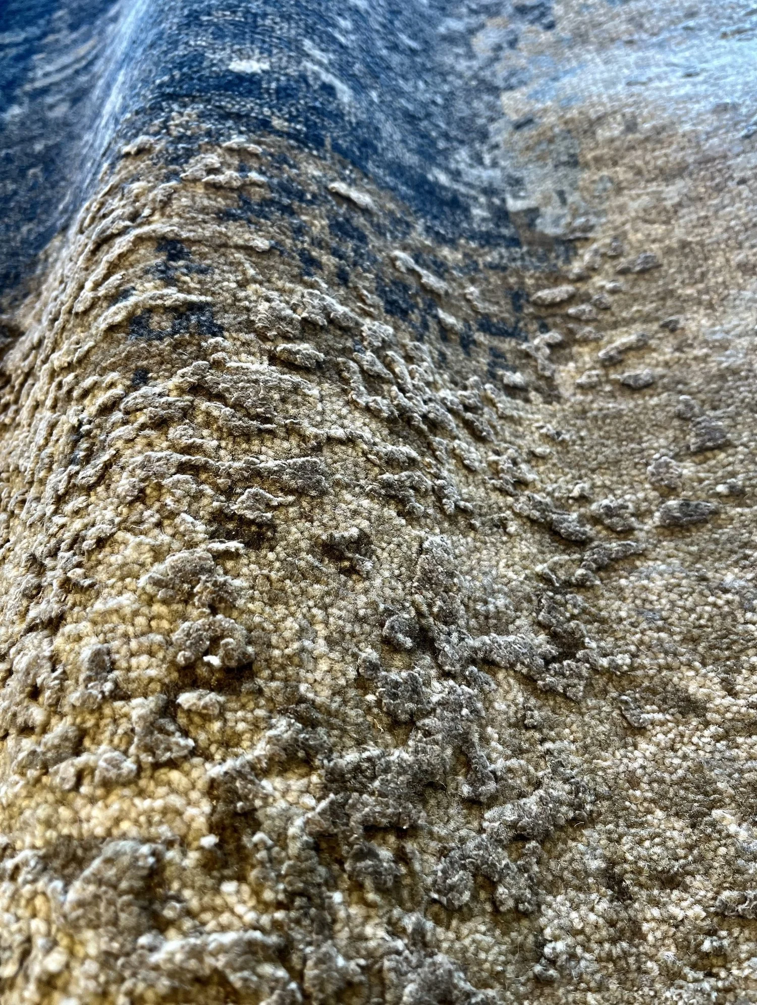 IMG_6198.jpeg