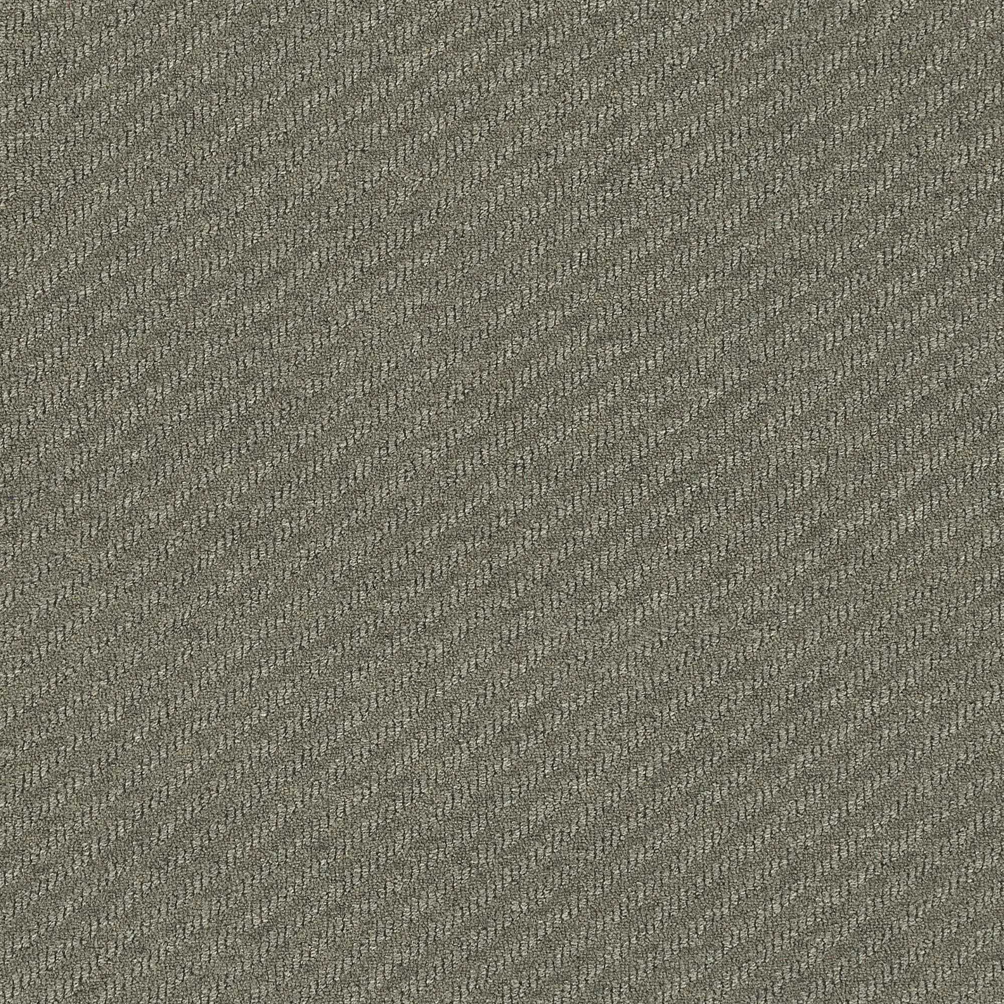 TAUPE.jpg