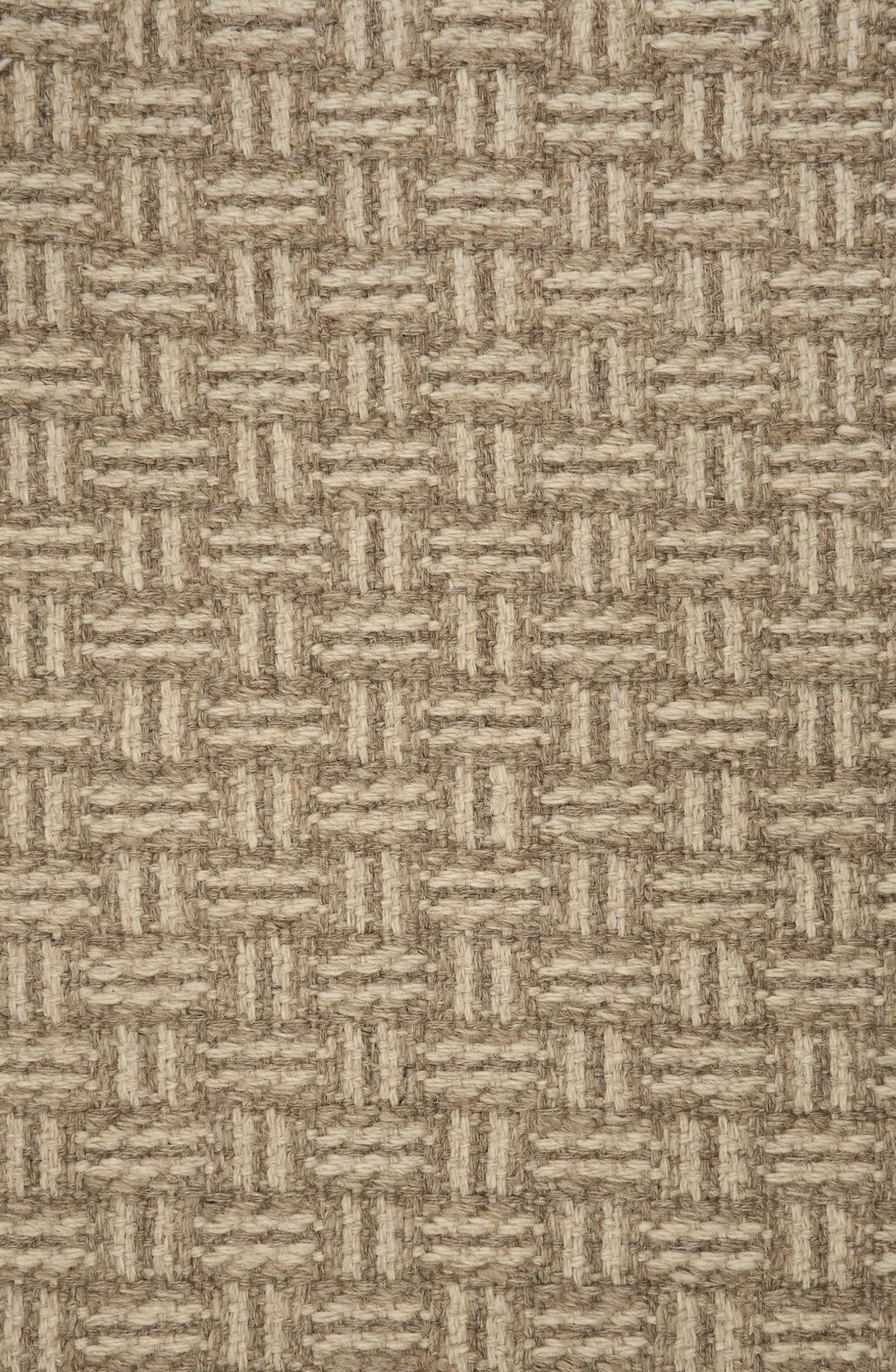 LOMA, SEPIA