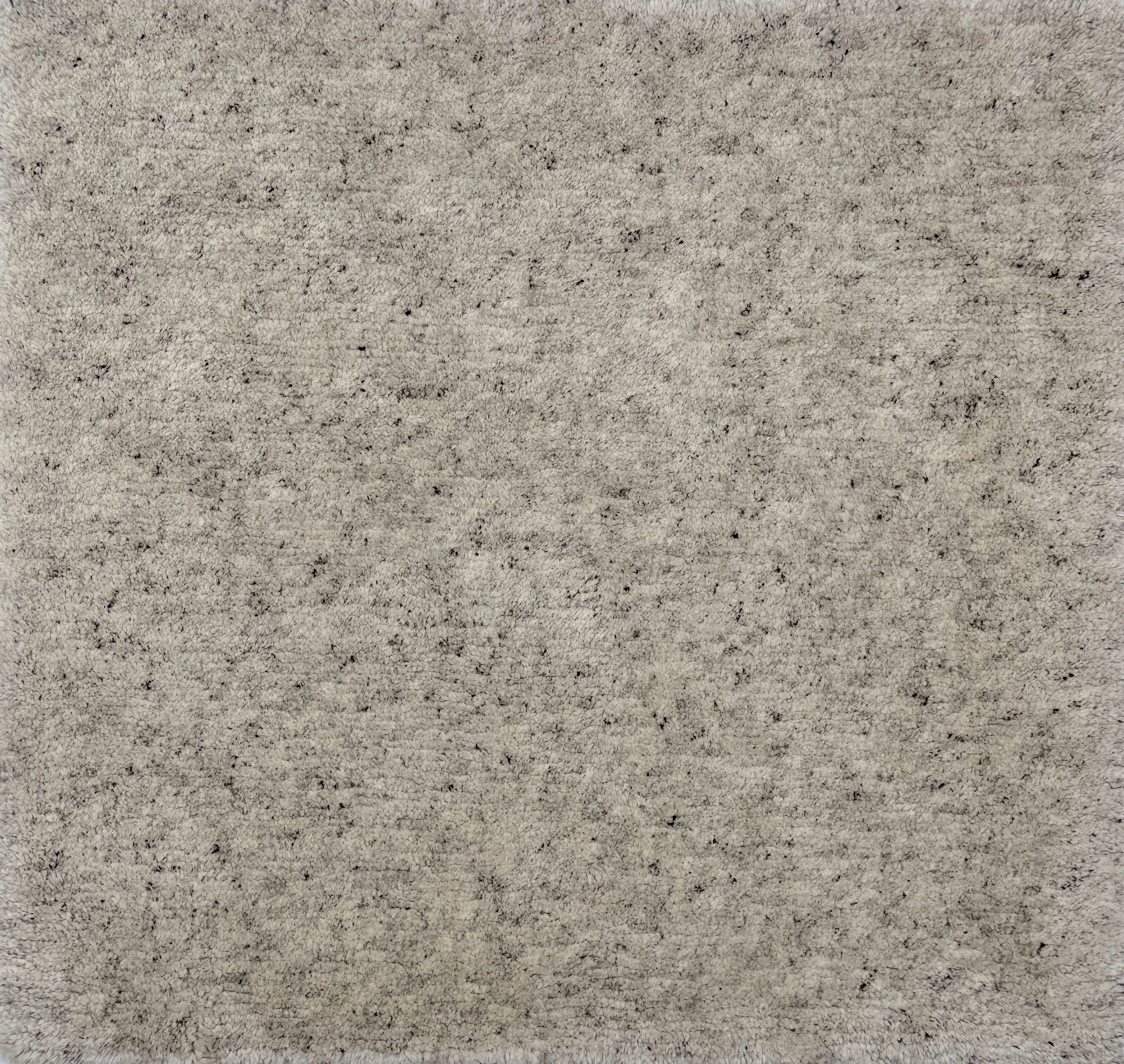 IMG_5379.jpg