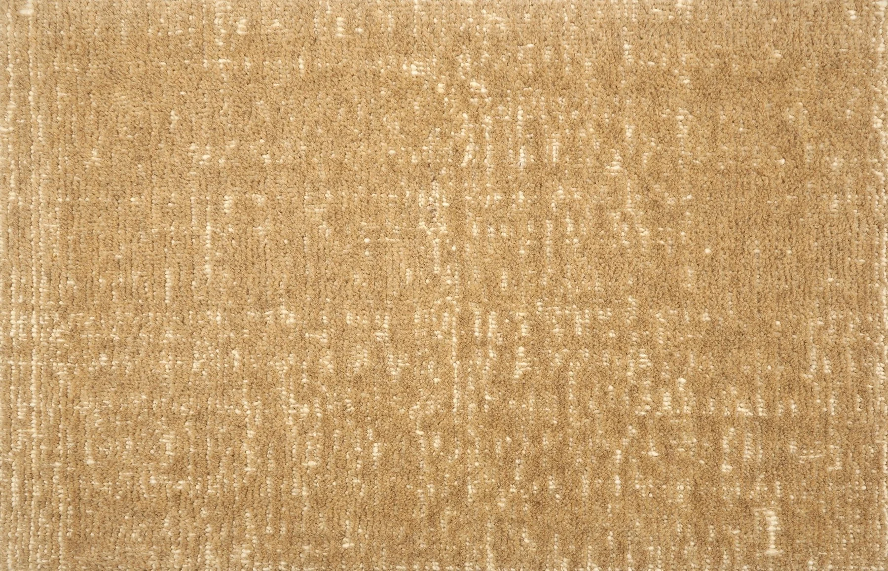 Linden, Camel