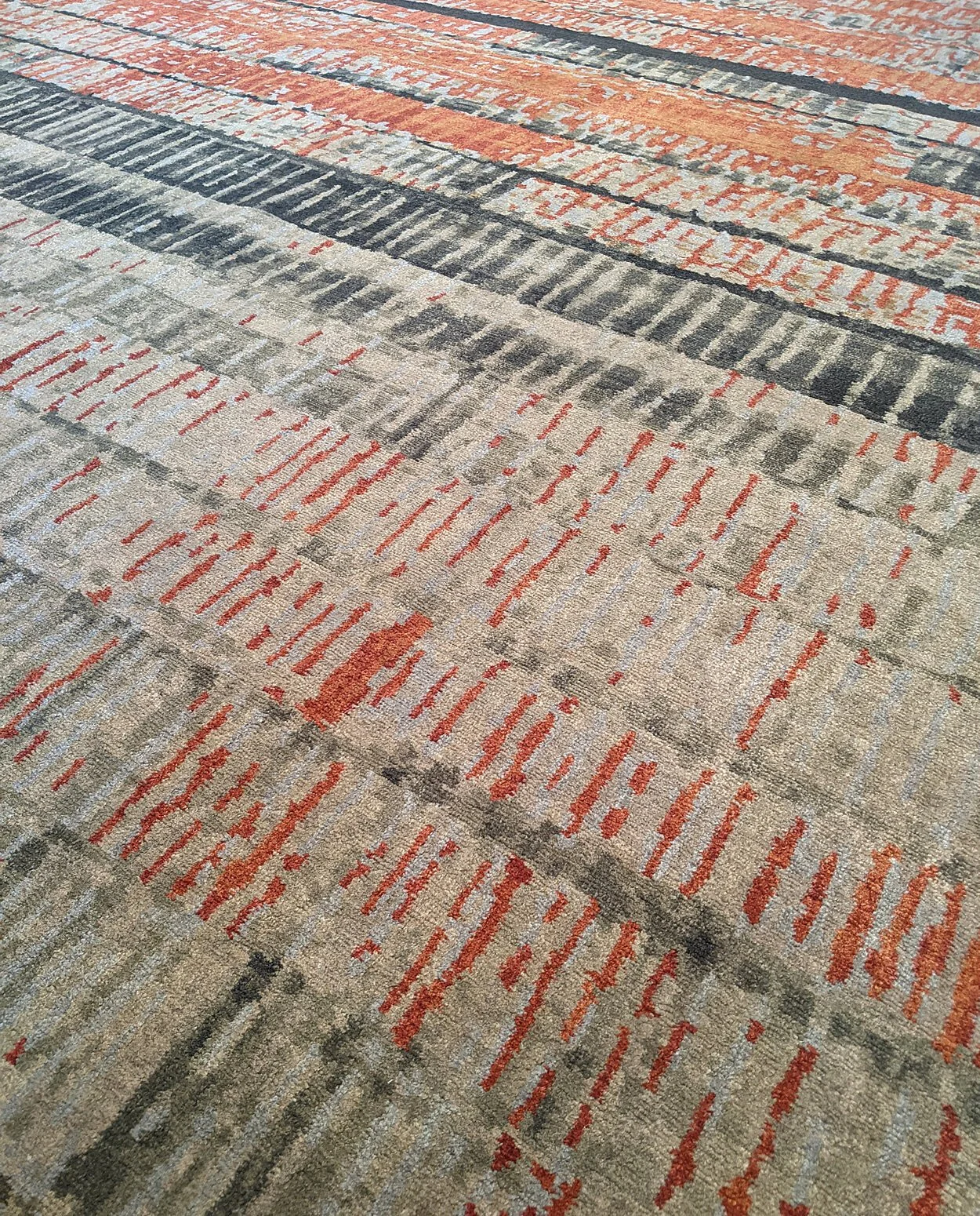 Tatami.Ruby.Closeup1.Driscoll.Robbins.jpg