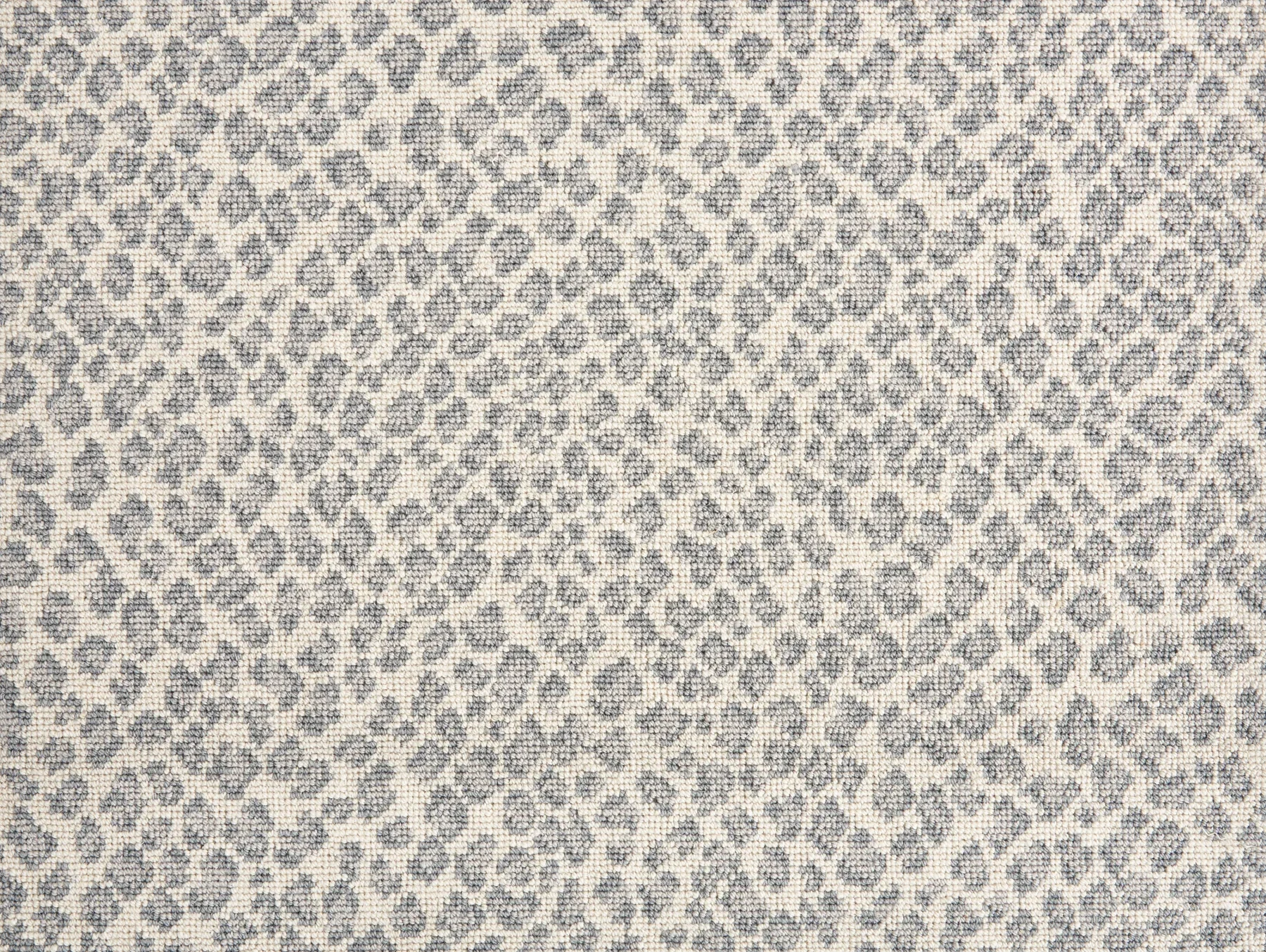 Felix_White-Rain.webp