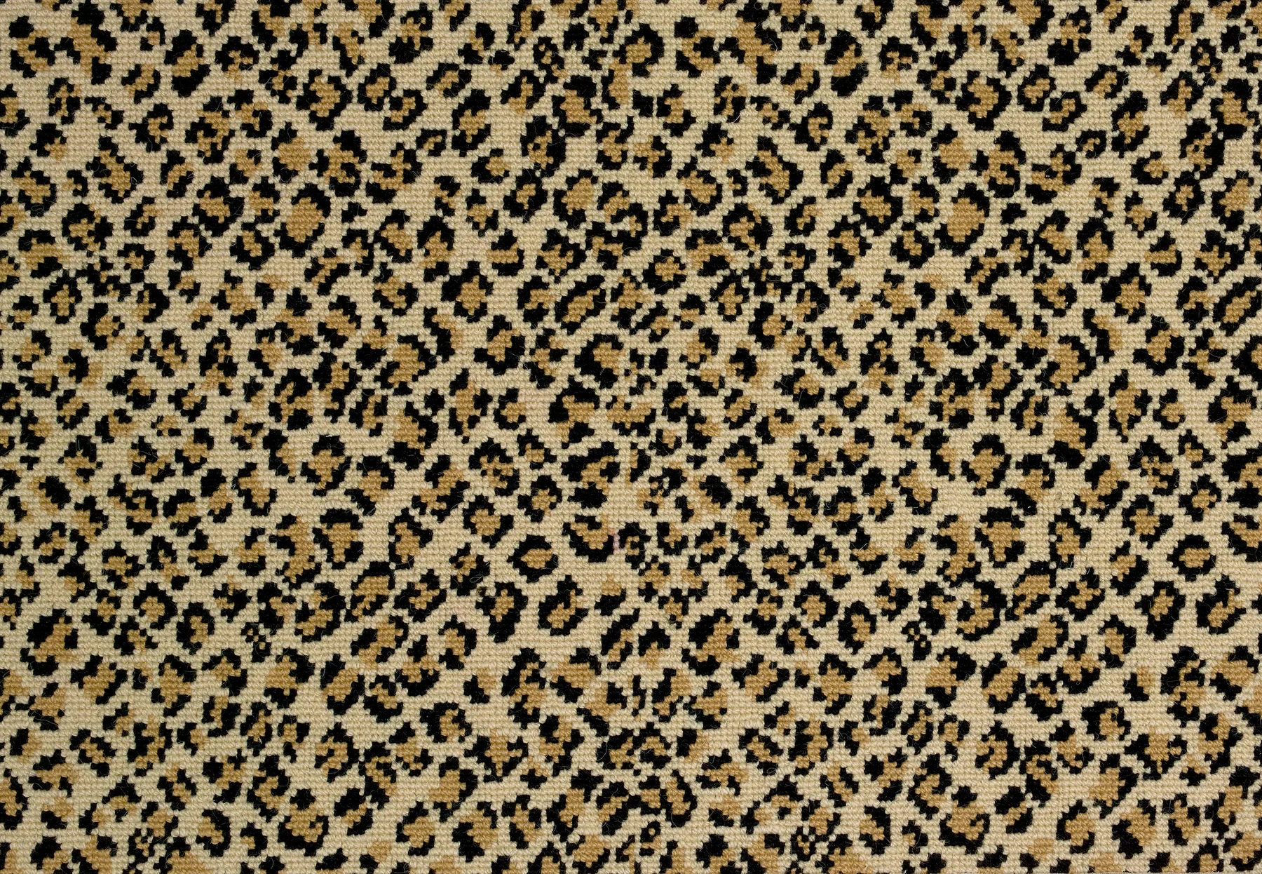FELIX TRUE LEOPARD