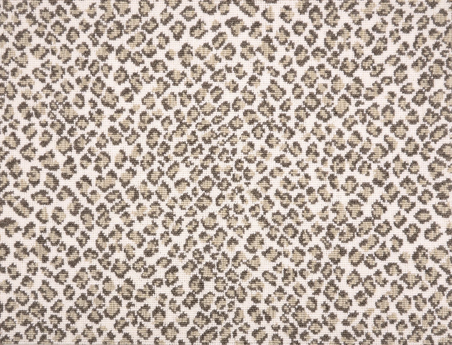 Felix_Remix_Snow_Leopard.jpeg