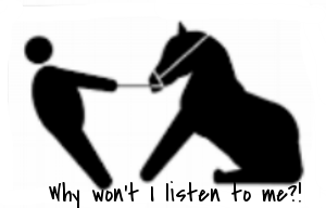 Why won't I listen to me?!!