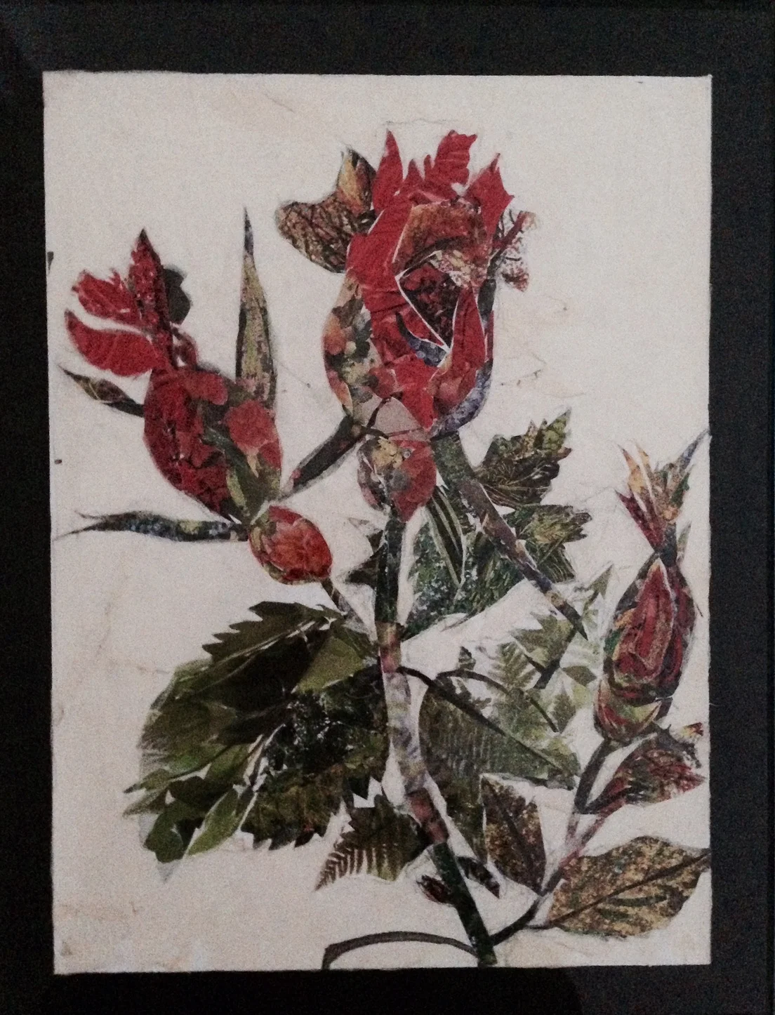 Antique Rose