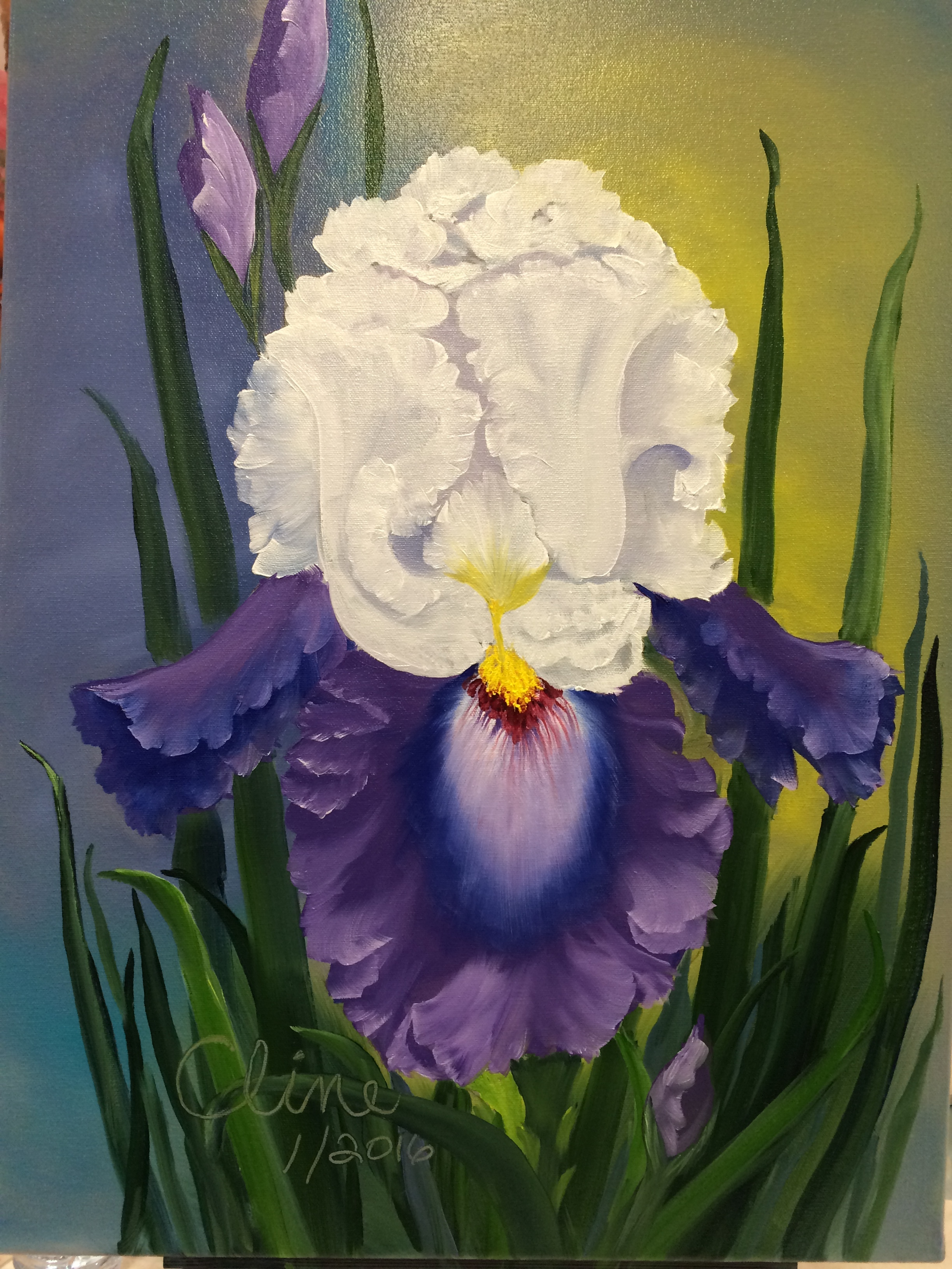 Iris