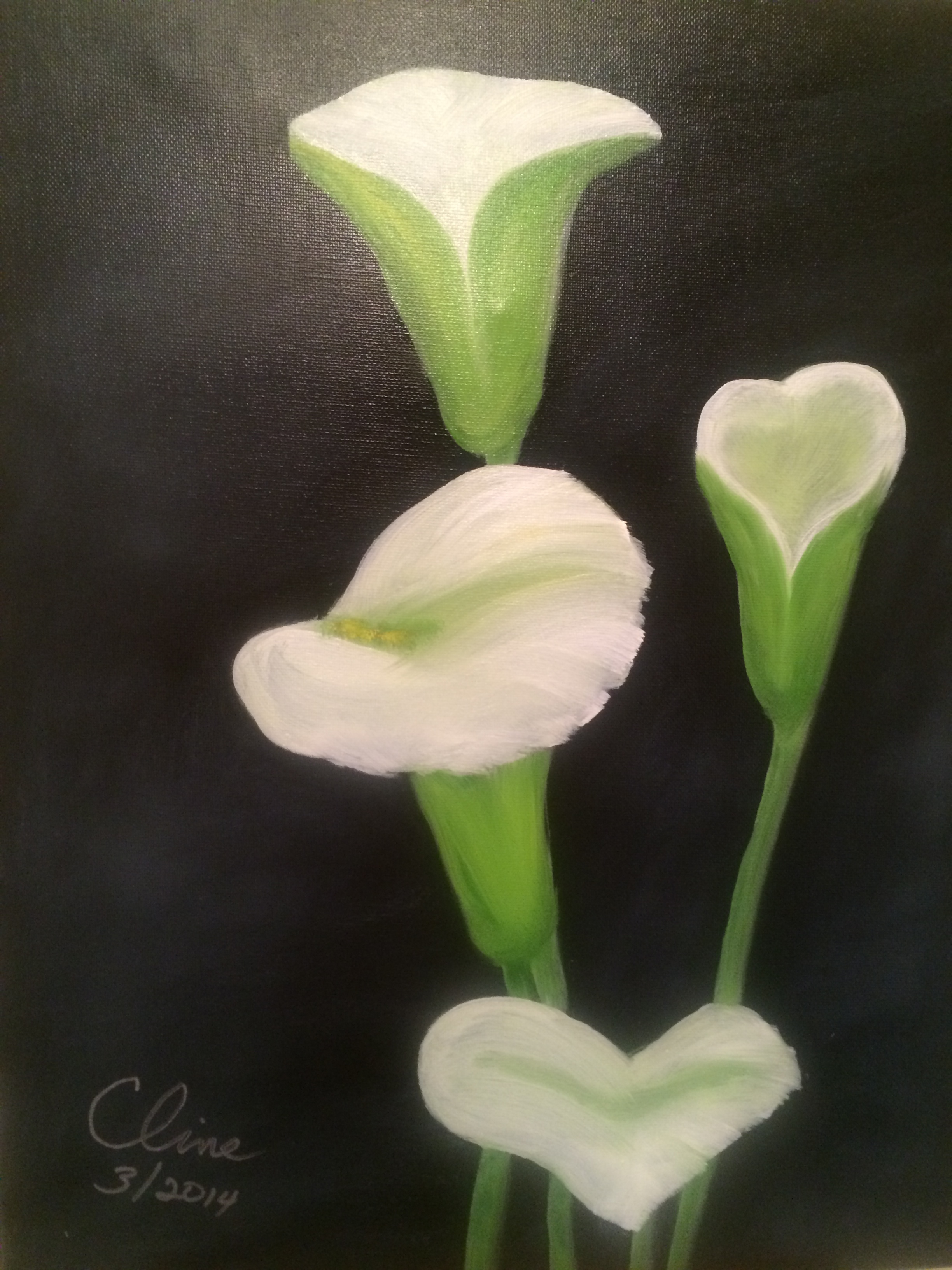 Calla Lillies