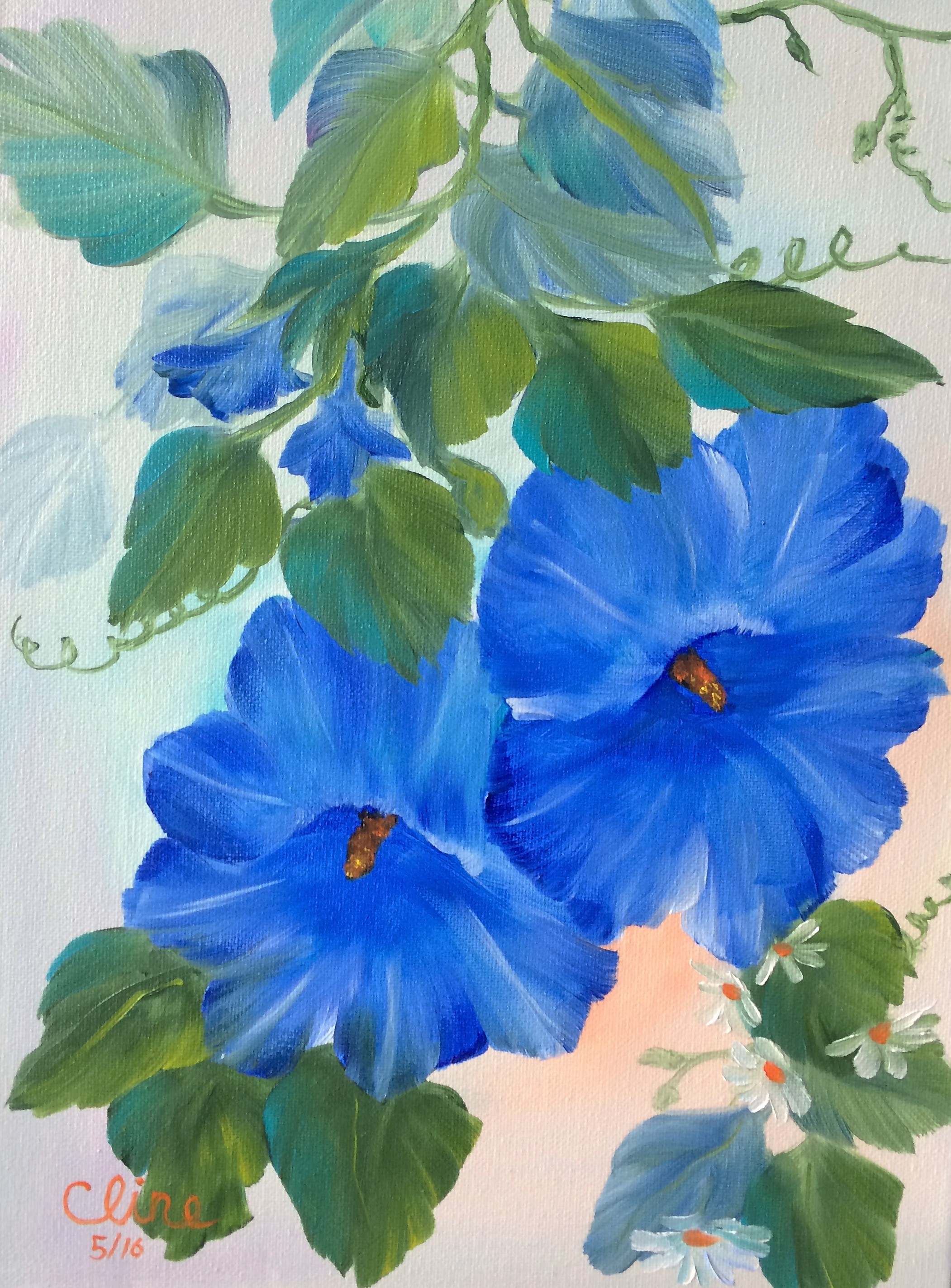 "Blue Morning Glories"