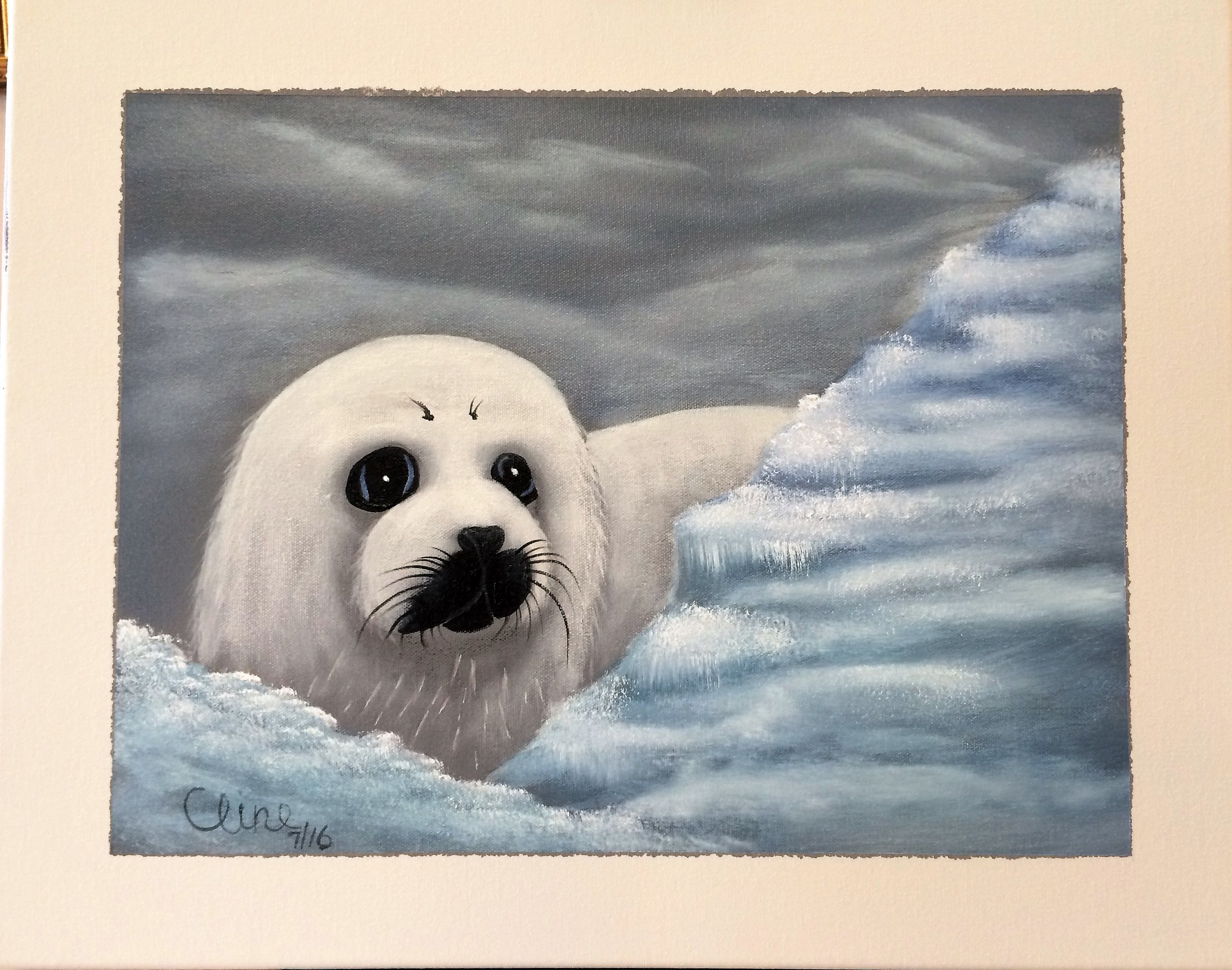 "Baby Harp Seal"