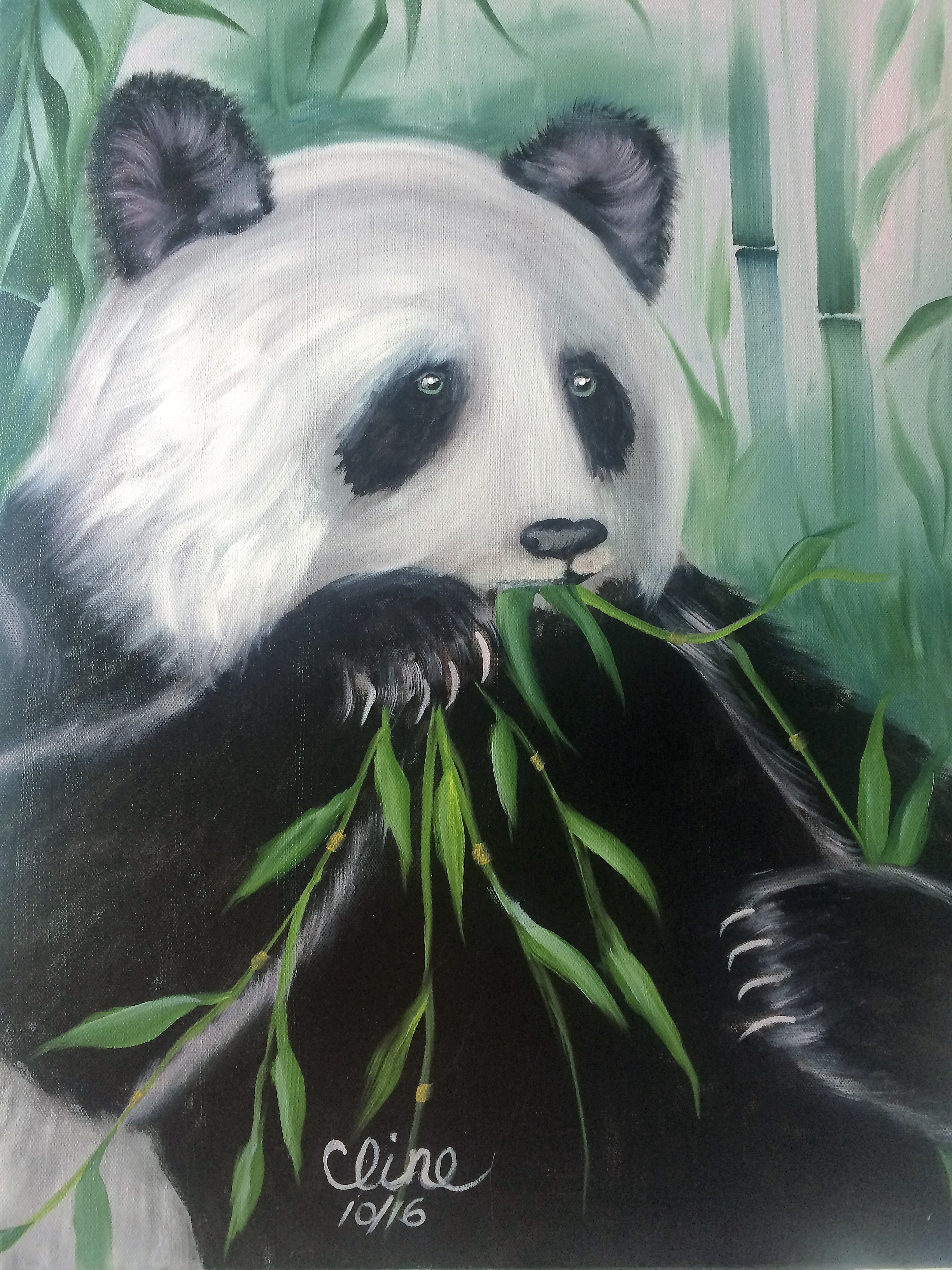 Panda