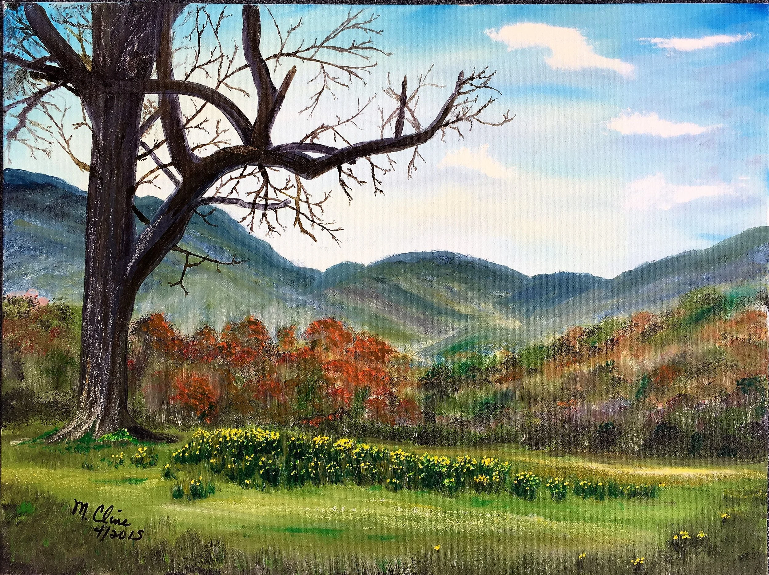 Springtime in Cades Cove 18x24.JPG