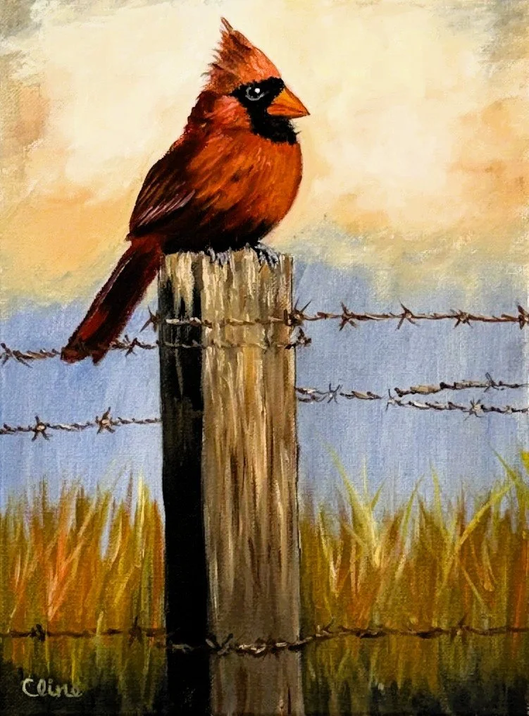 6/17/26 Sitting Pretty