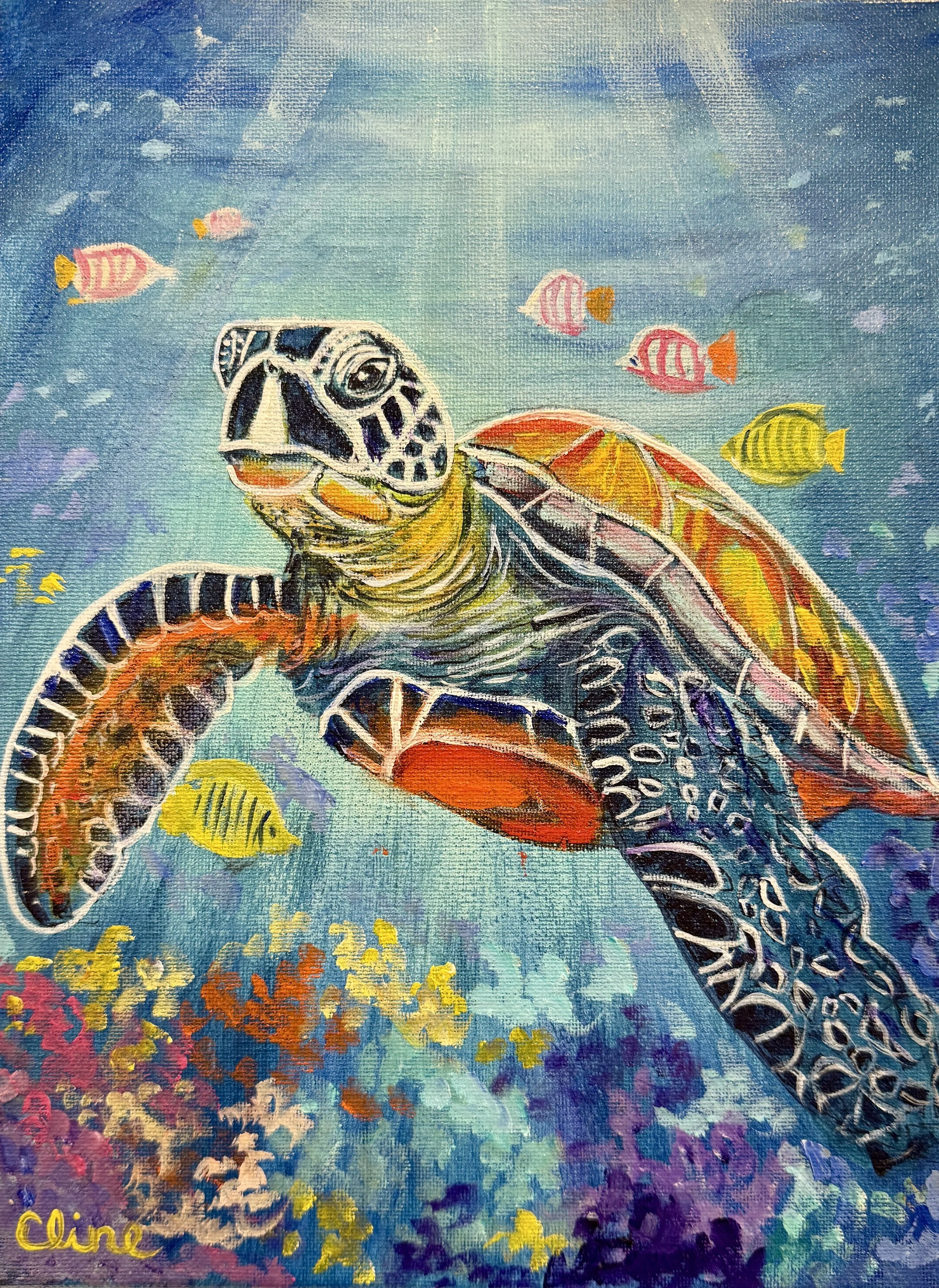9/5/26 Shelly the Sea Turtle