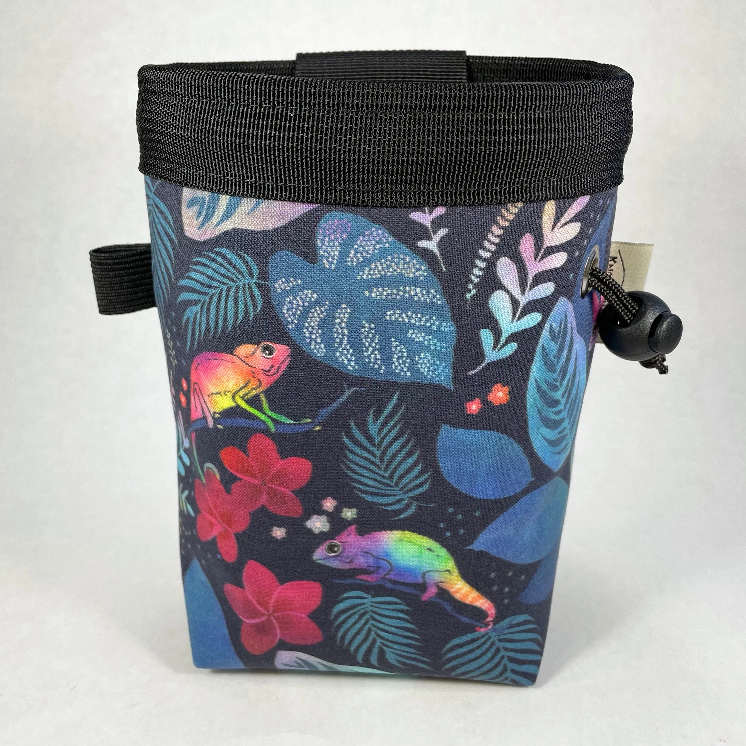 rainbow chameleons chalk bag