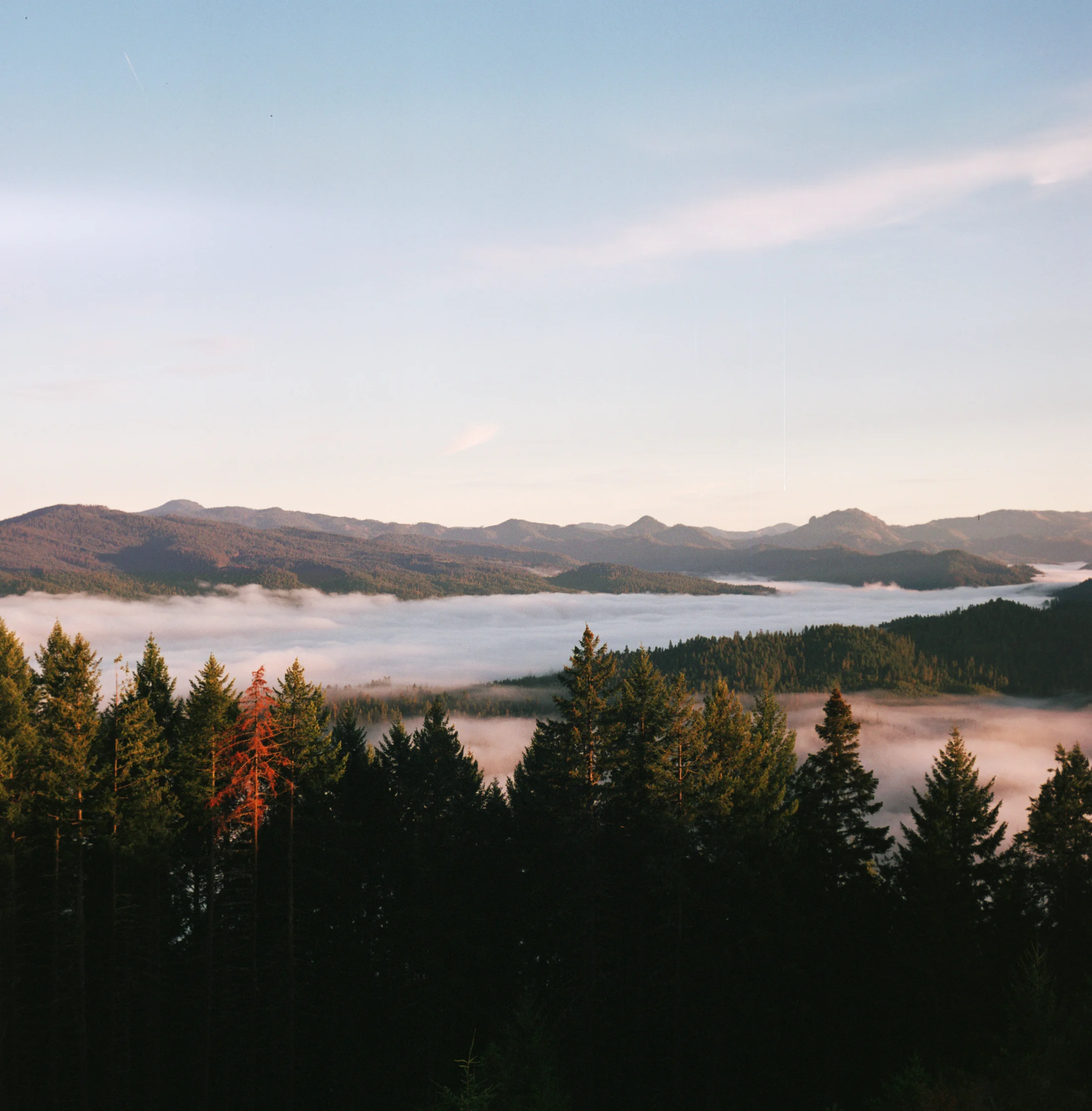 Picnic Butte Fire Lookout