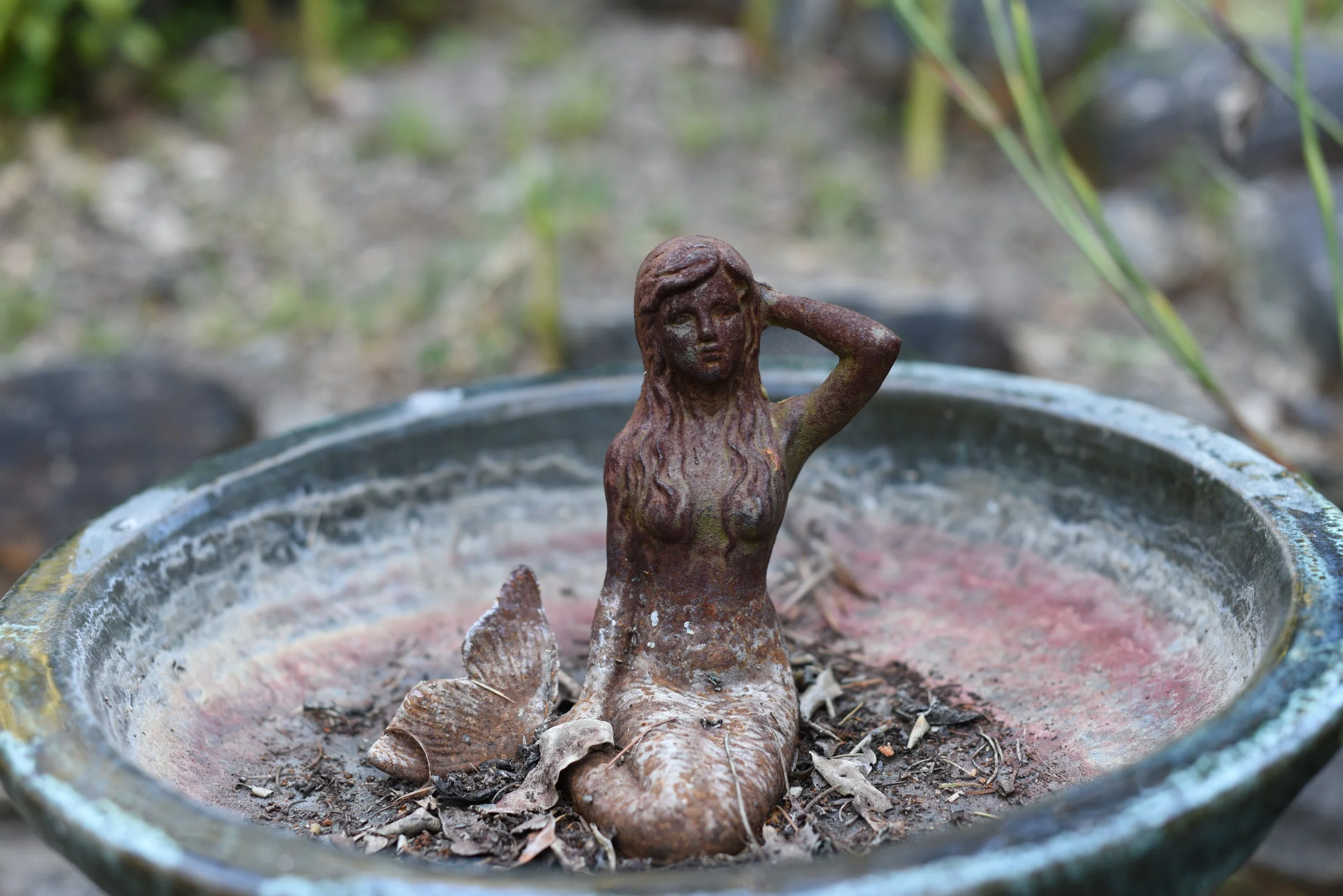DSC_1832.JPG
