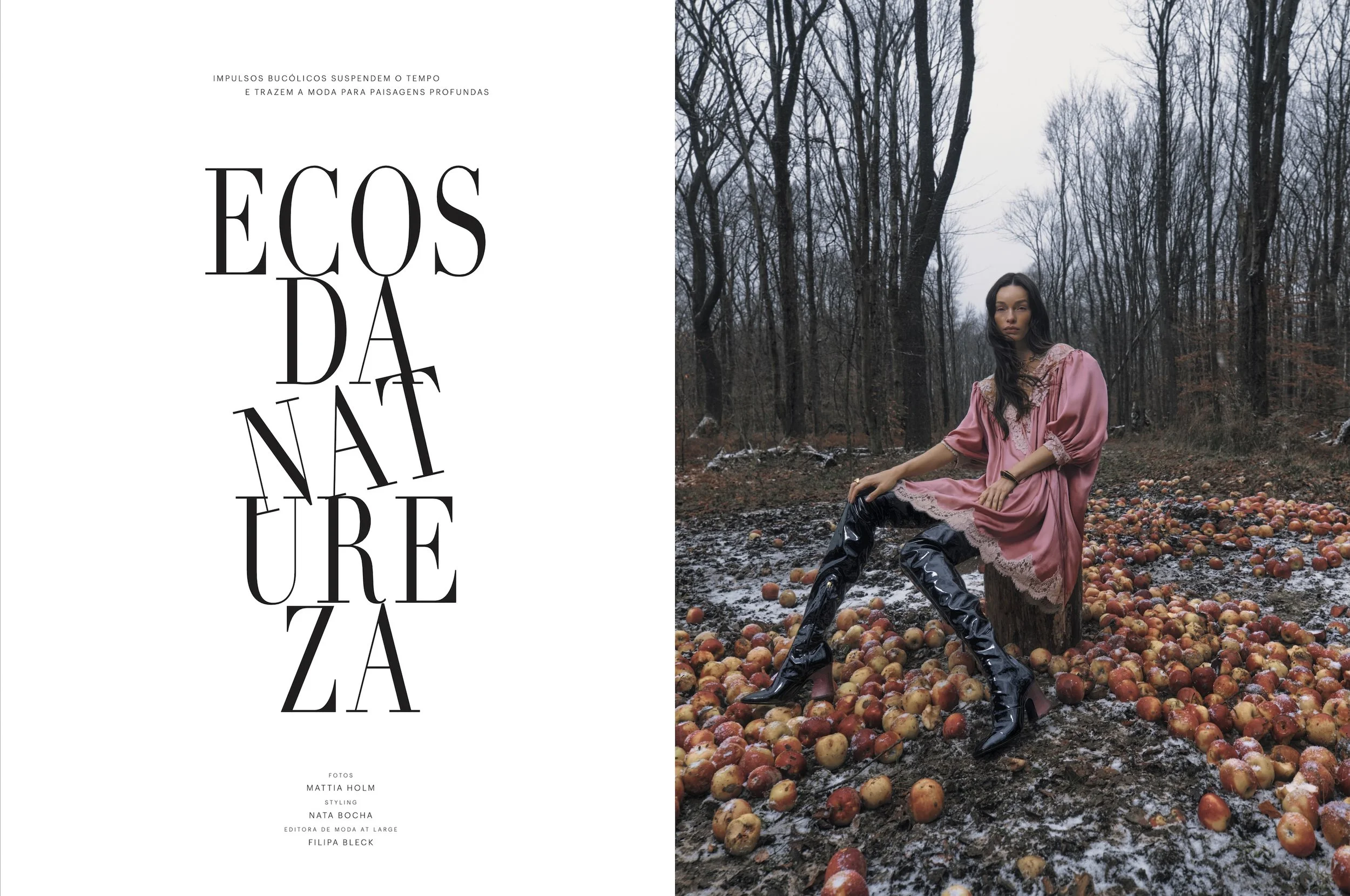 HBB nov23 2514114 copy 3.jpg