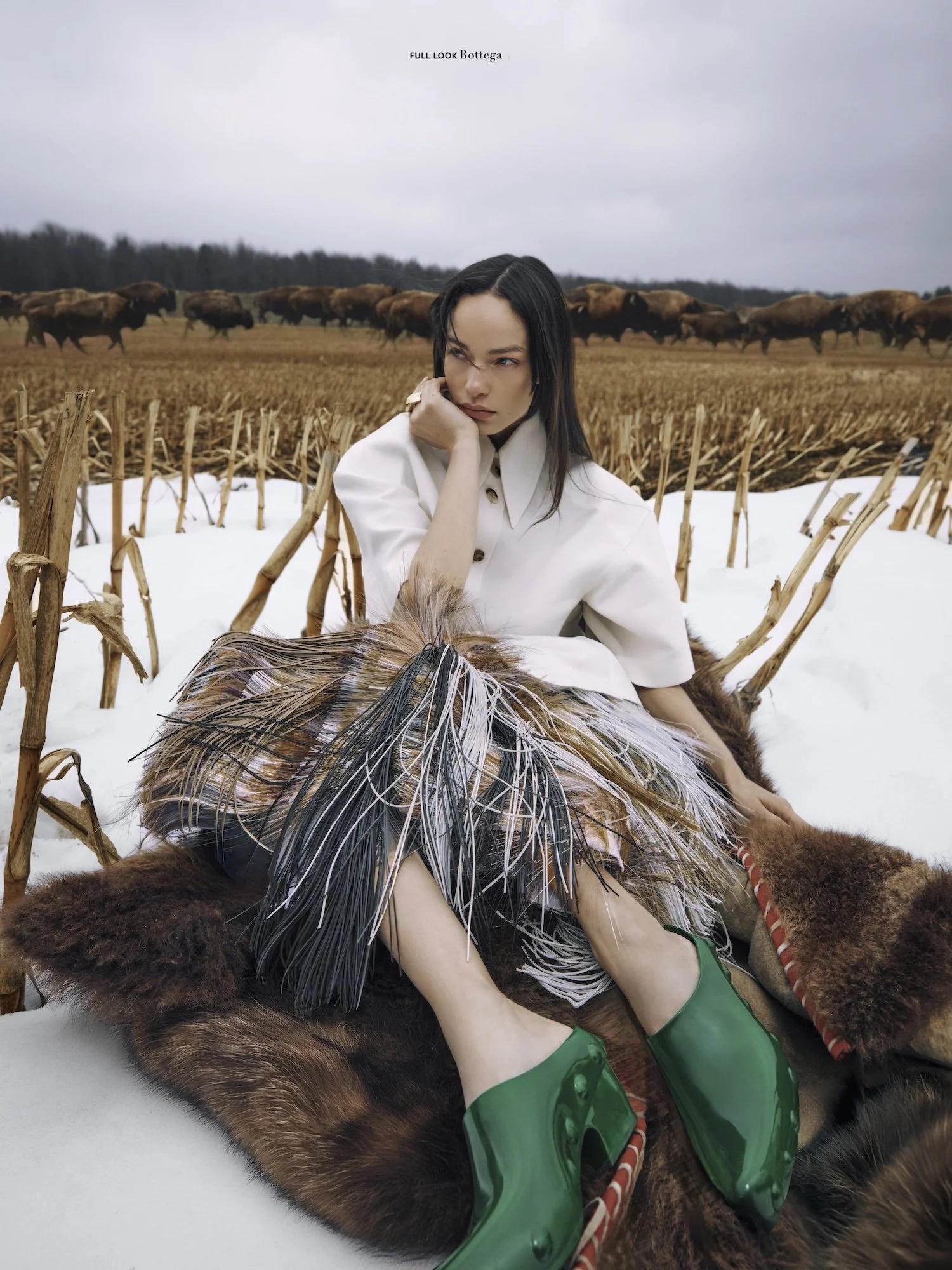 HBB nov23 2514414 copy 3.jpg