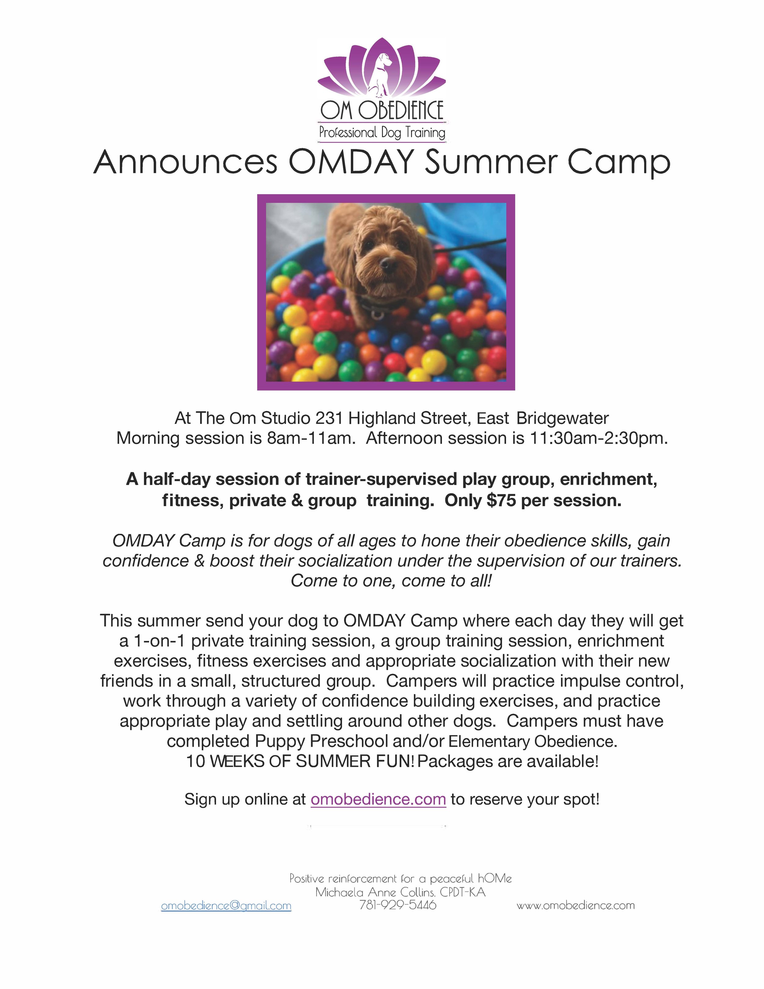 OMDAY Summer Camp Flier 2026.jpg