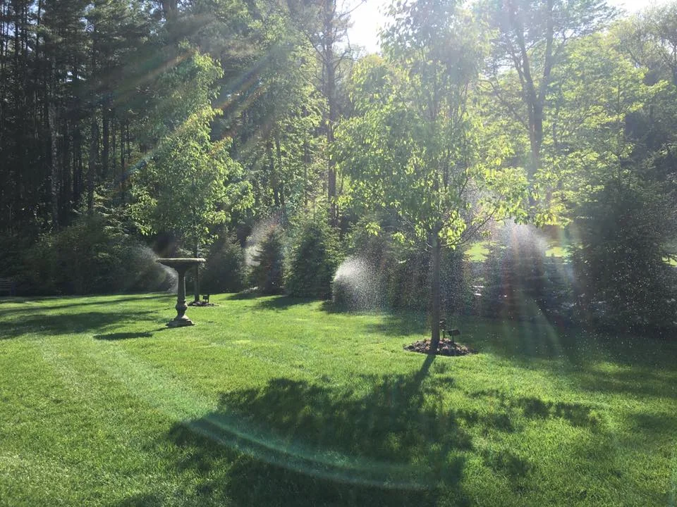 After a fresh mow.
