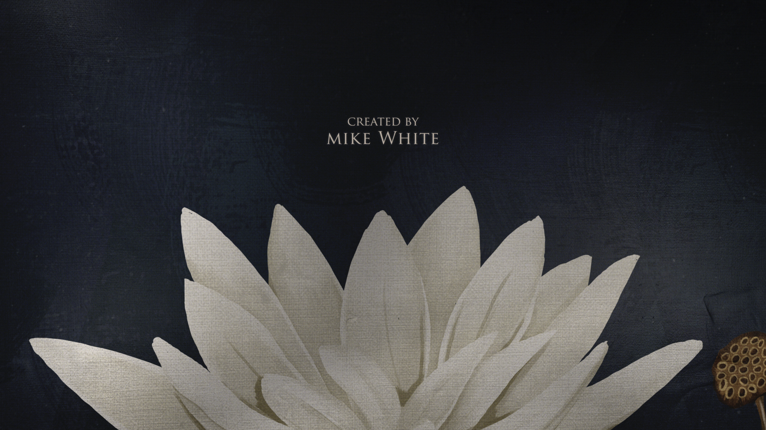 The white lotus hbo