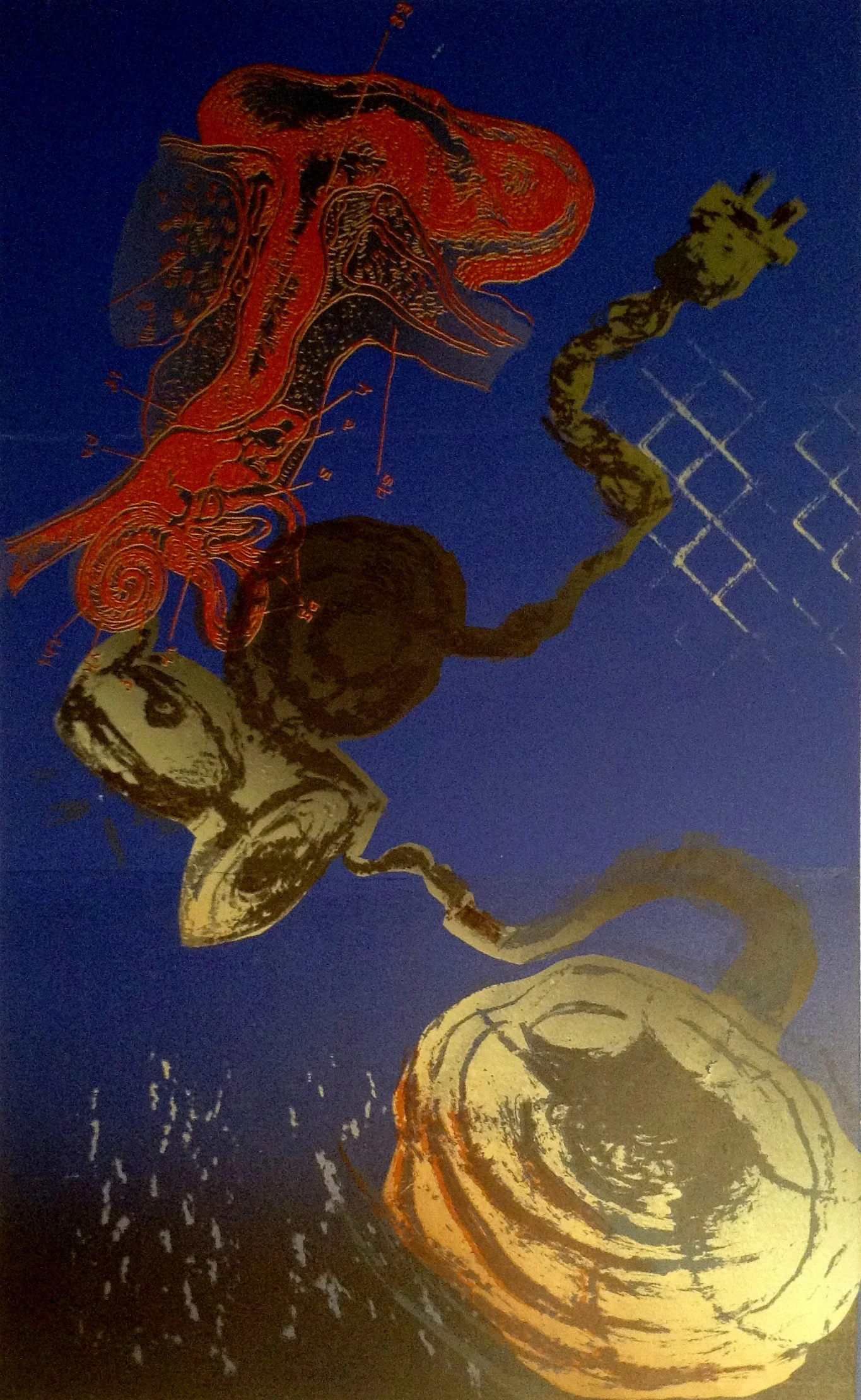 Tympanic Membrane 2014