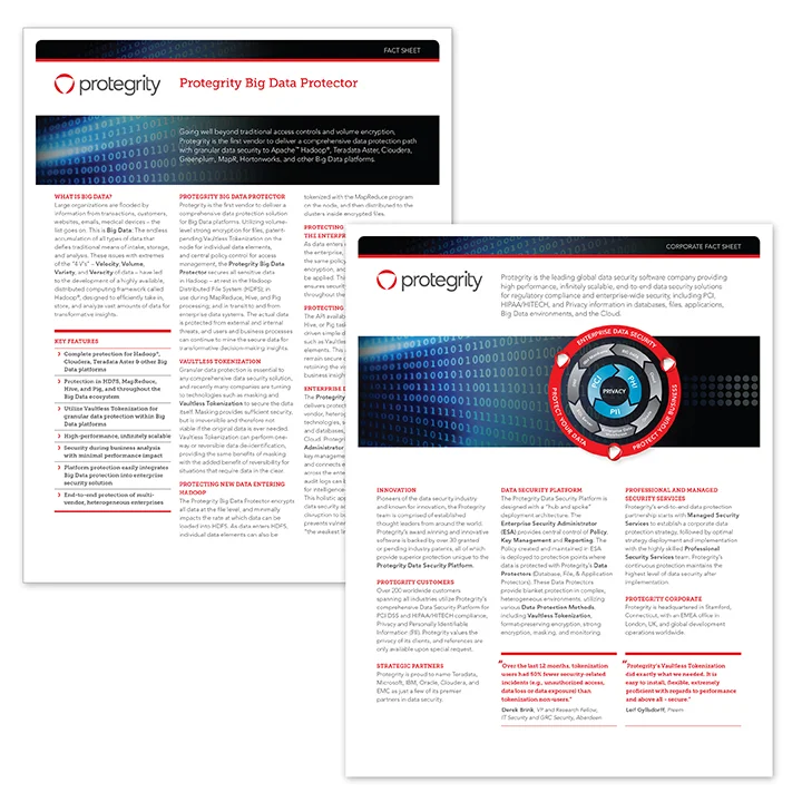 Protegrity — Kirsten Long Design