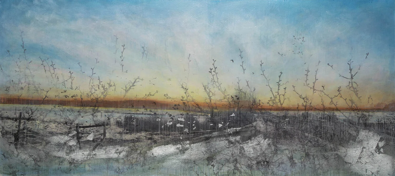 Northern Spring