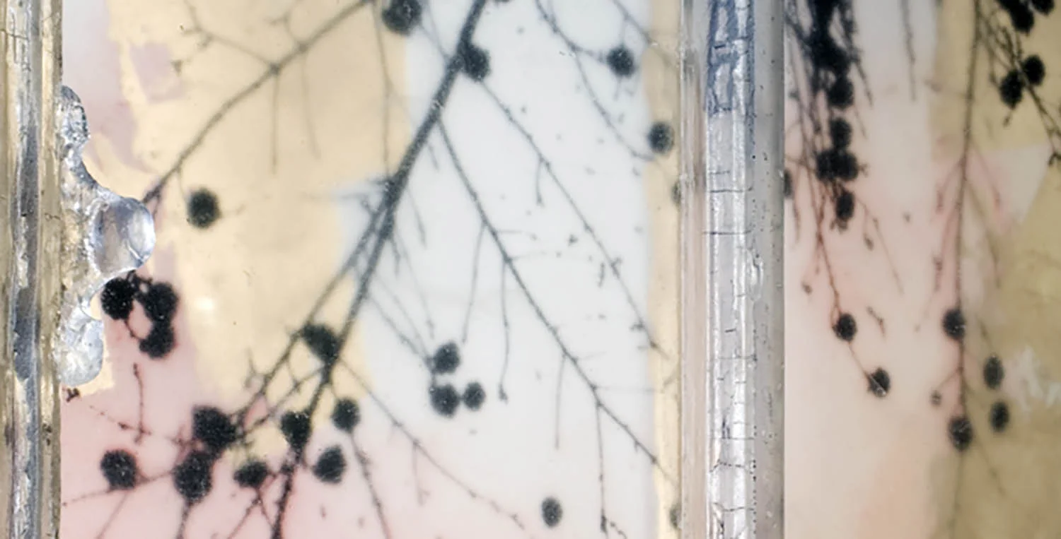 Detail: "Lead Vision"