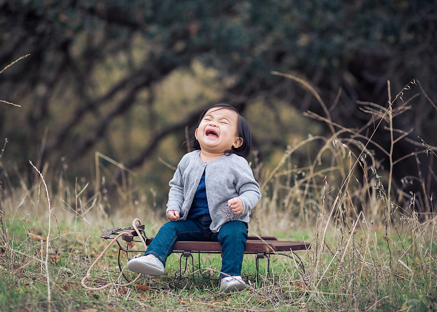 San Francisco Bay Area Family Photographer Los Altos 0008.JPG