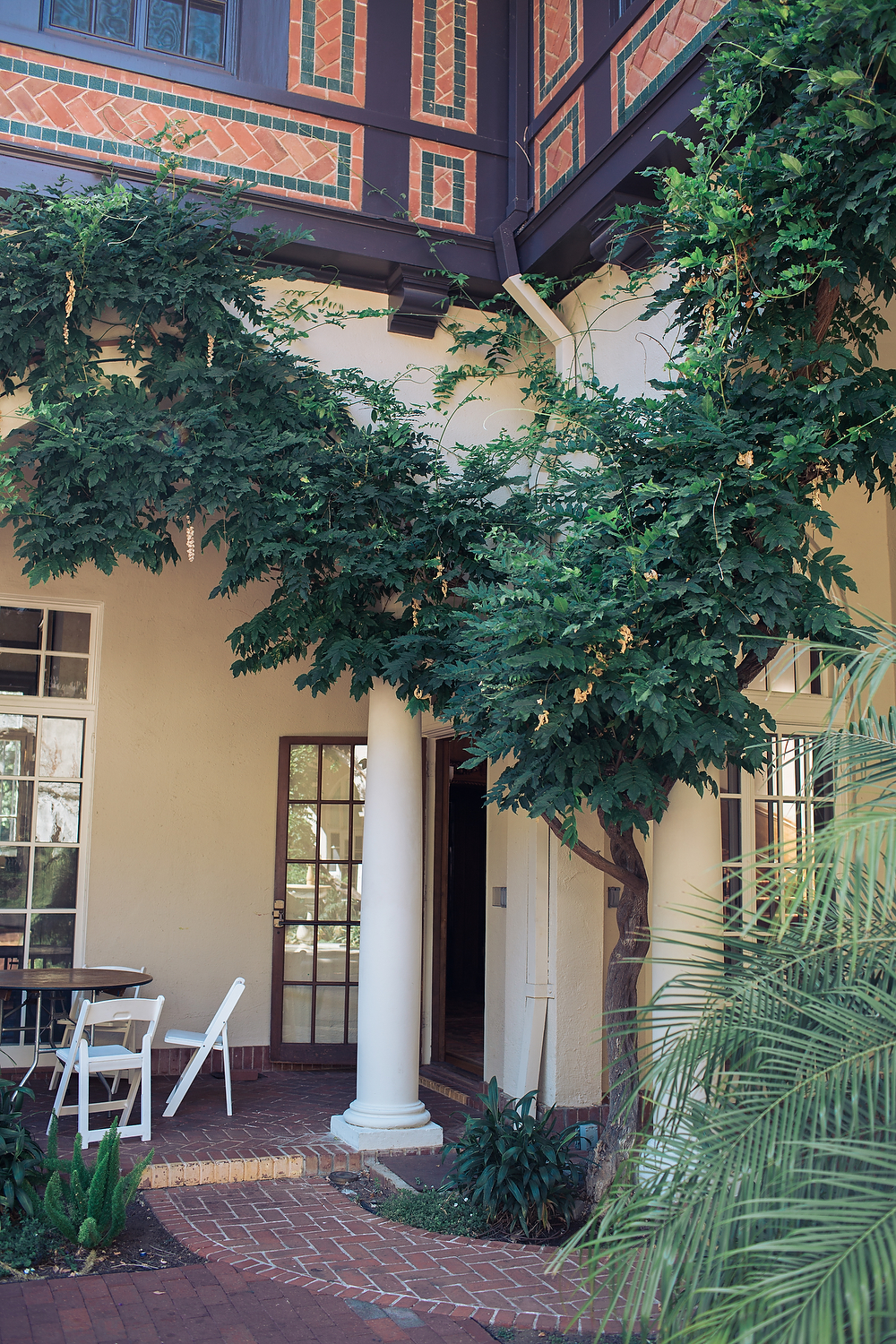  The wisteria in summer, while not in bloom, is still a gorgeous aspect of the venue 