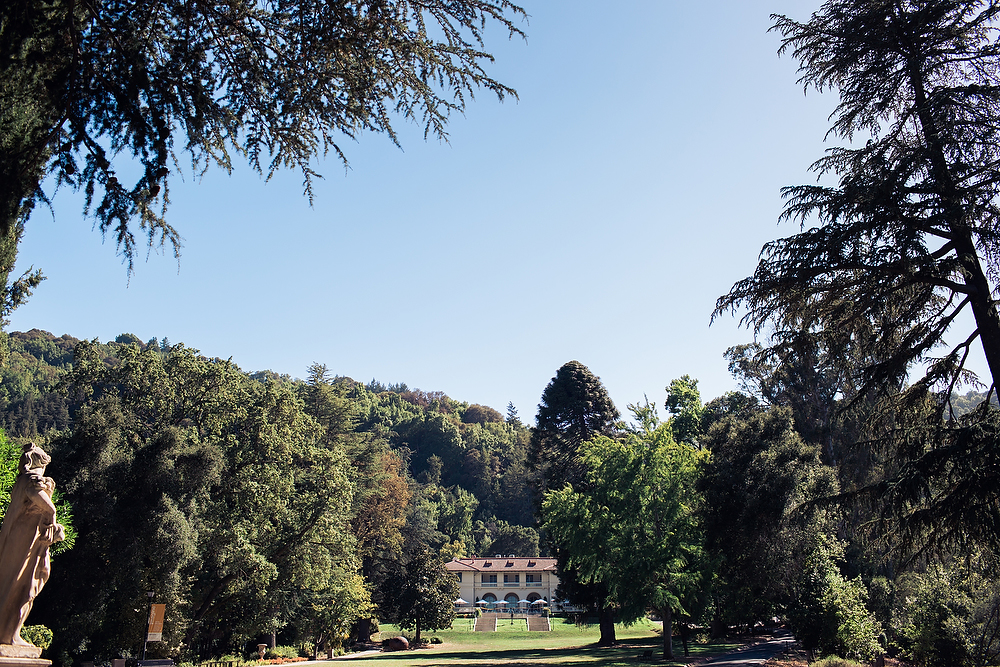  The view looking back on the main villa from the Love Garden 