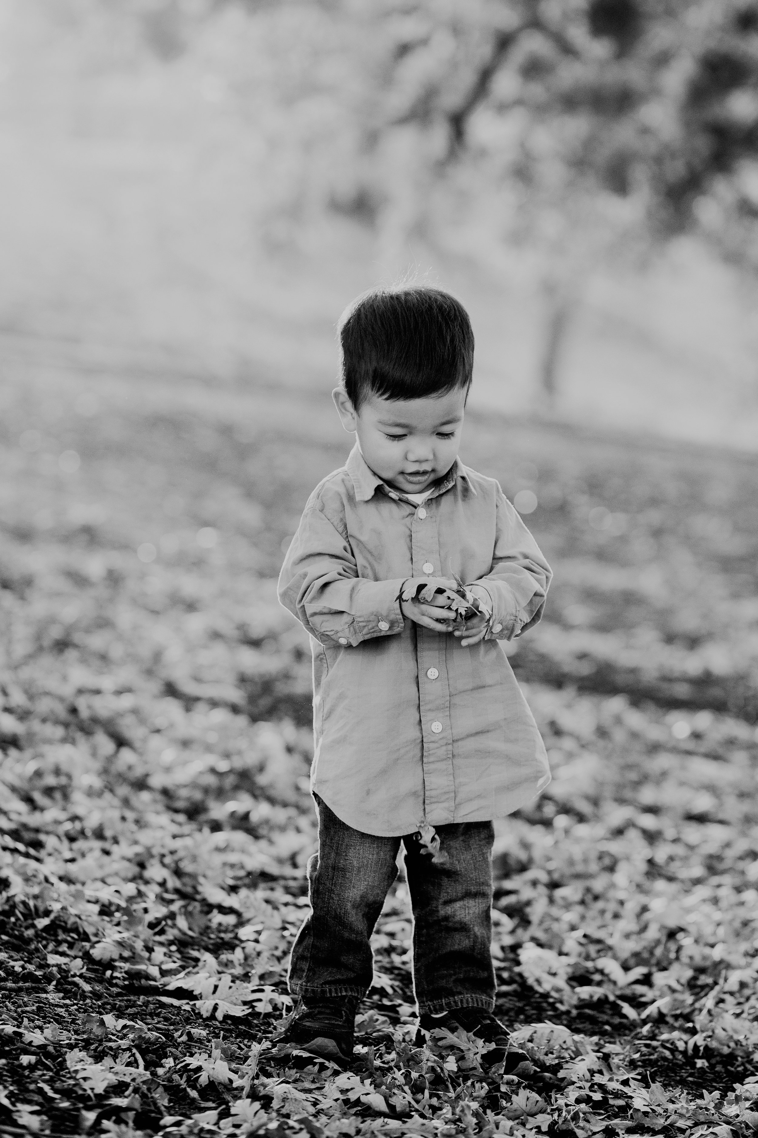 bre thurston photography | san francisco bay area california photographer | outdoors lifestyle family session fall 