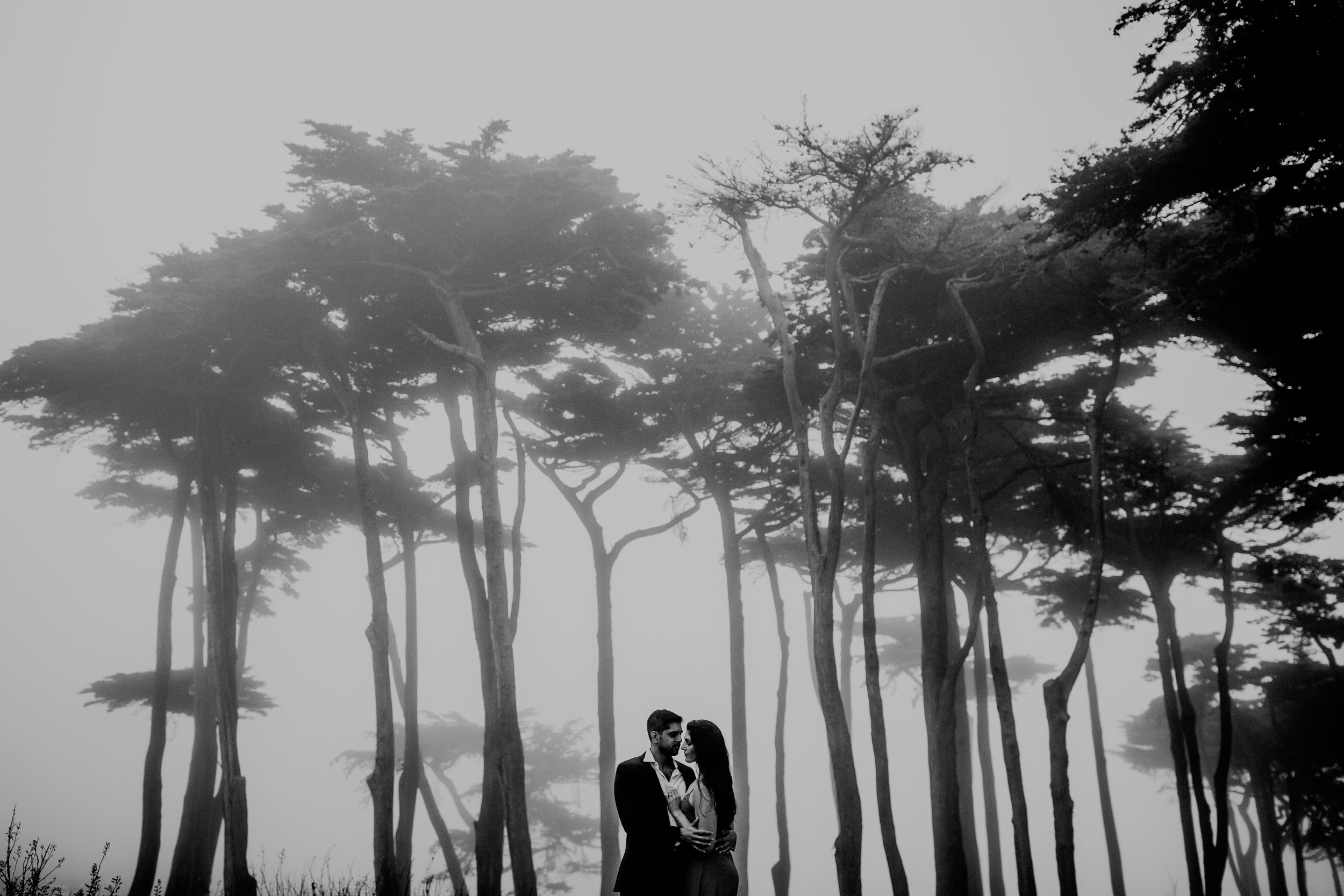 bre thurston photography | san francisco bay area wedding engagement photographer | engaged couple photo session in city, foggy forest, stormy beach, red dress